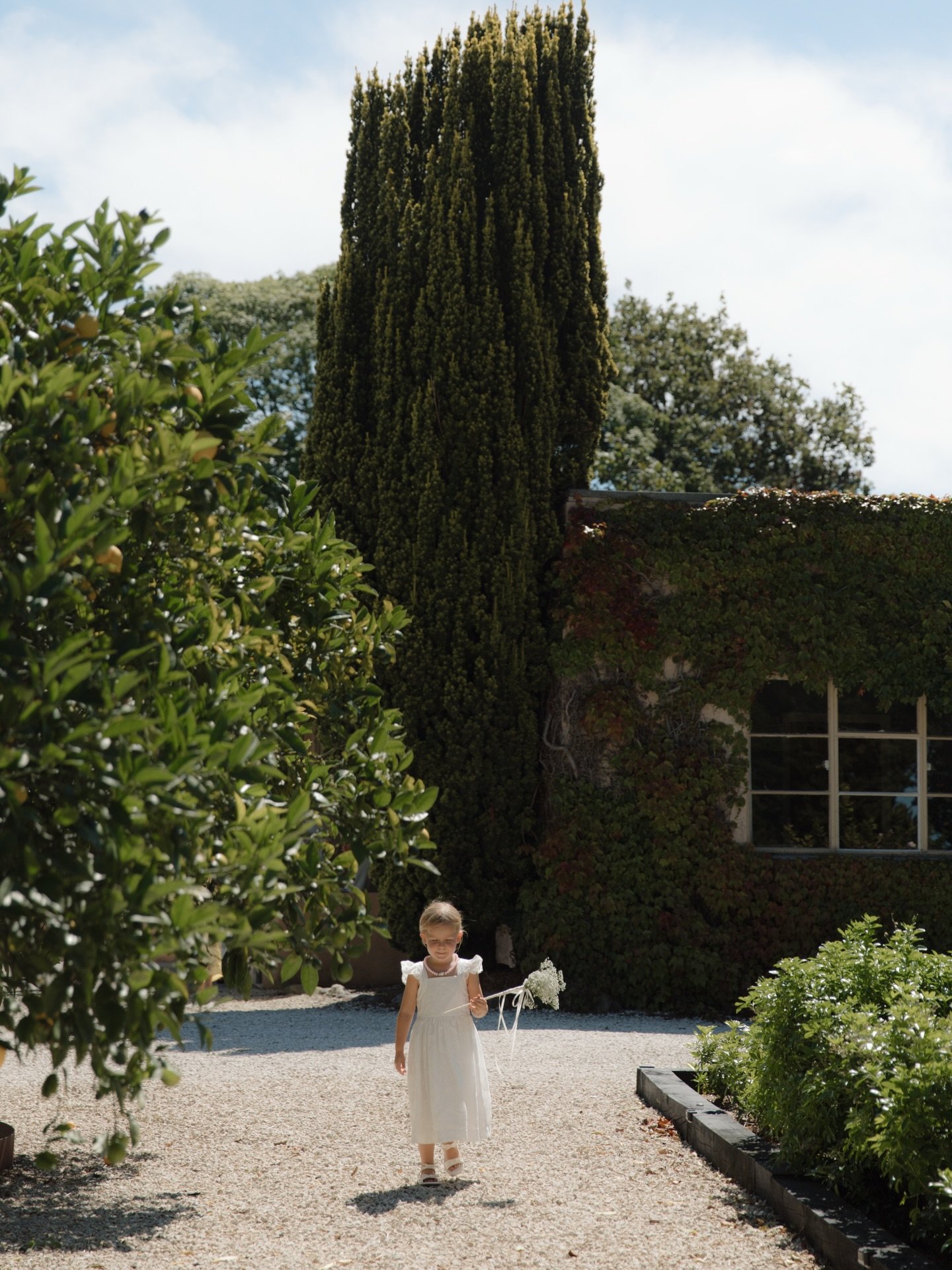 From a fairytale 🧚🏽