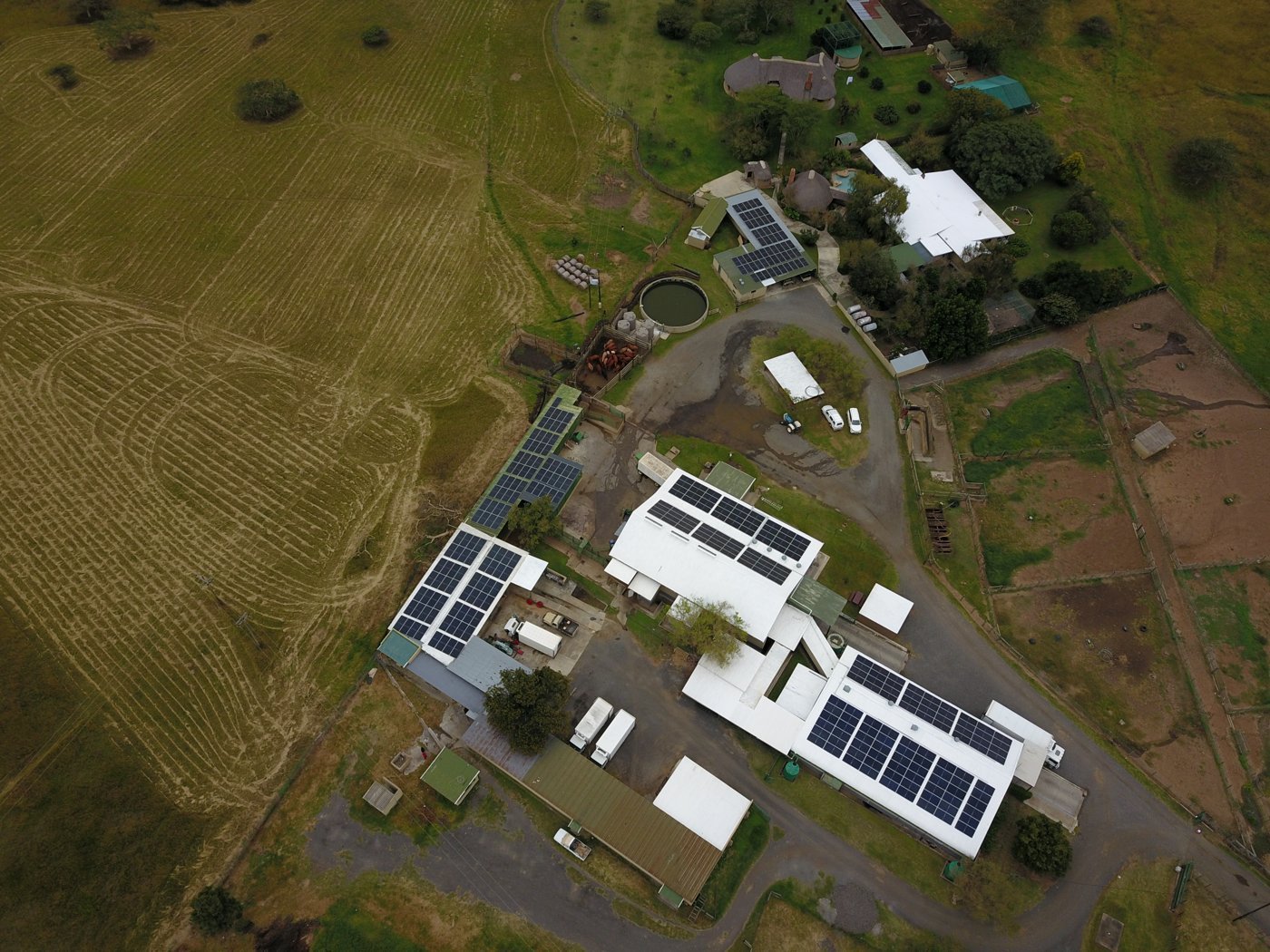 Abattoir – 154.9 kWp
254 × 610W LONGi, 2 × 110kW Fox grid-tie, generator integration.