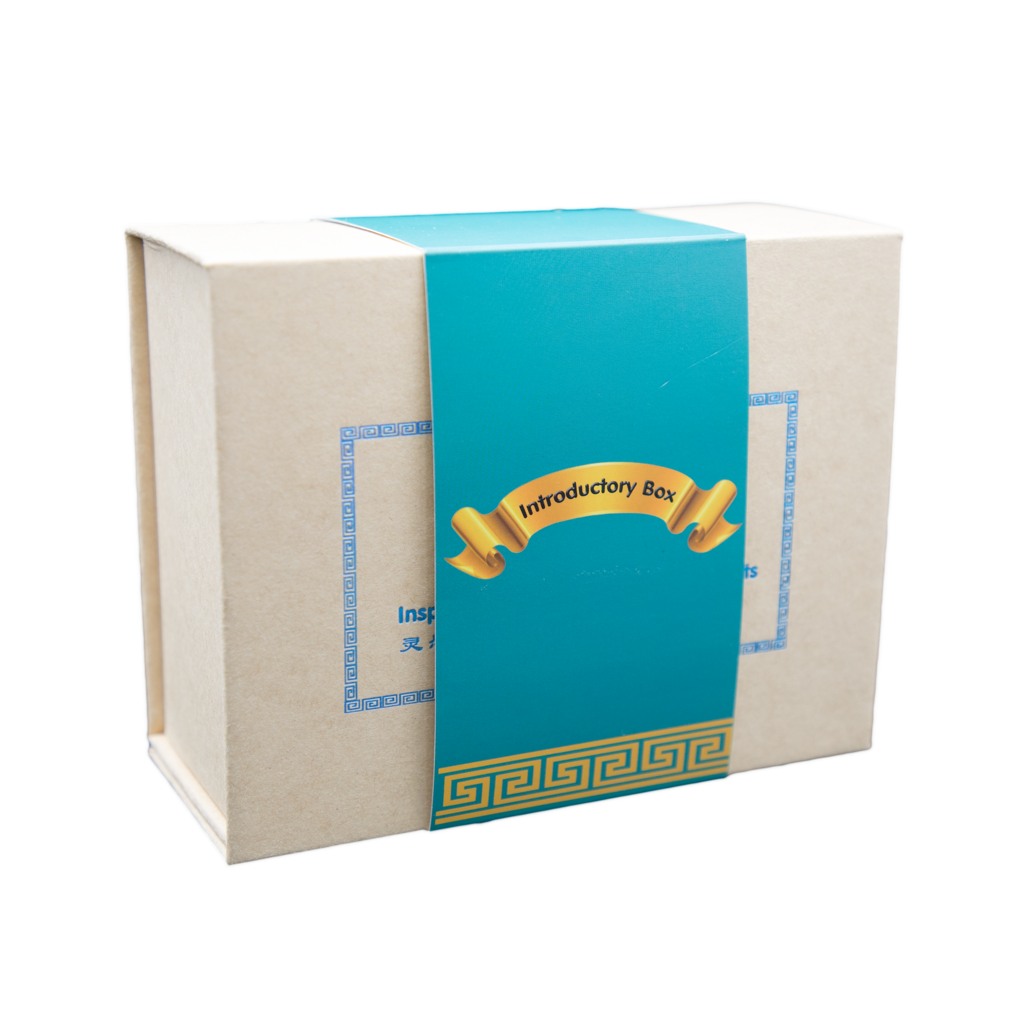 intro box angle3.png