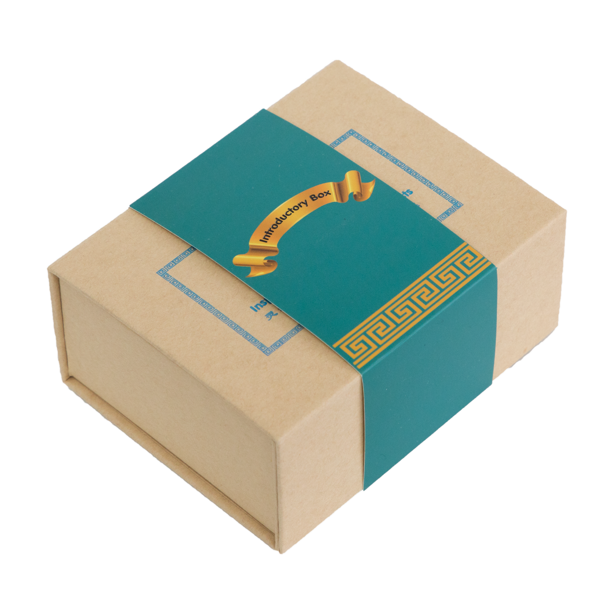 intro box angle2.png