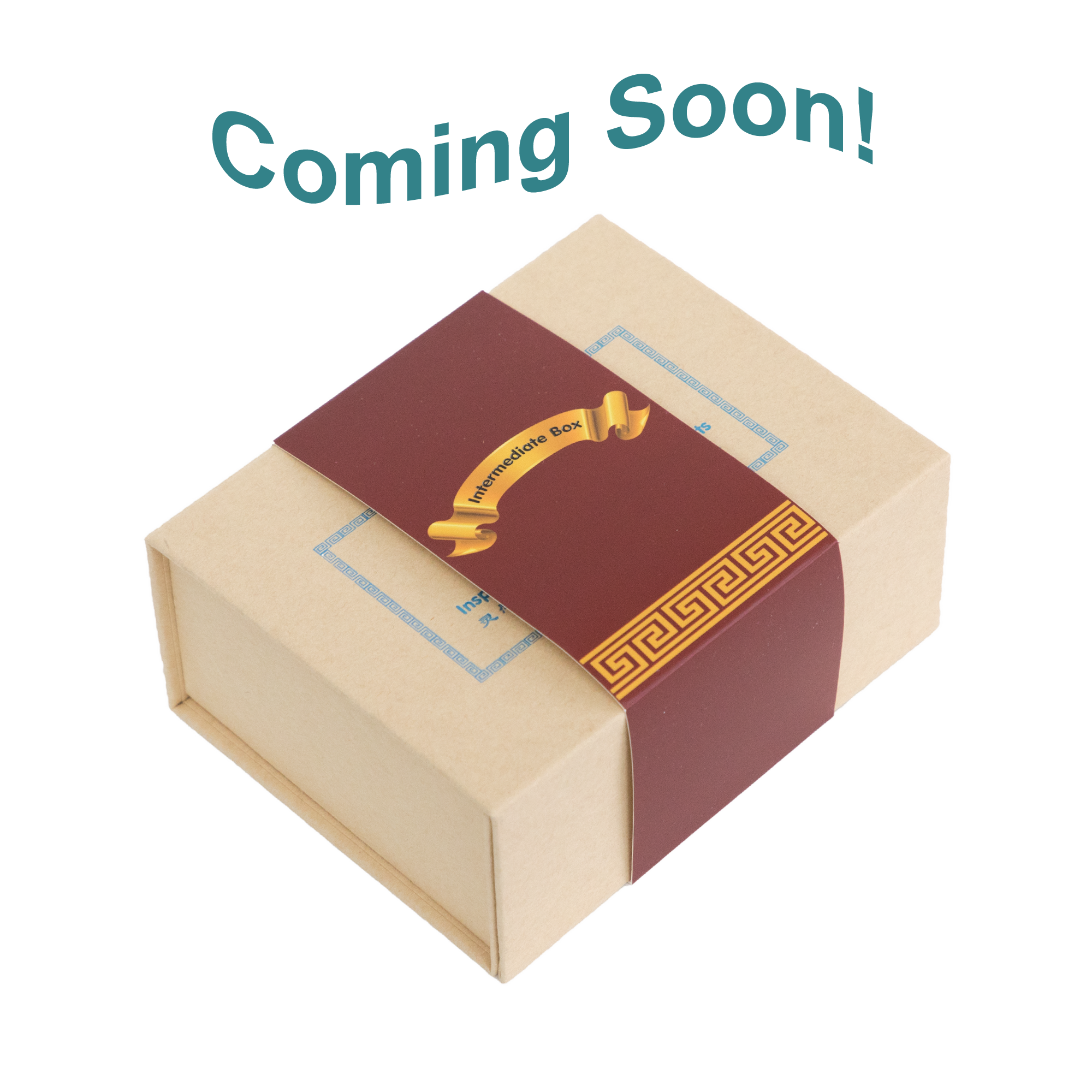 JIT Intermediate Box