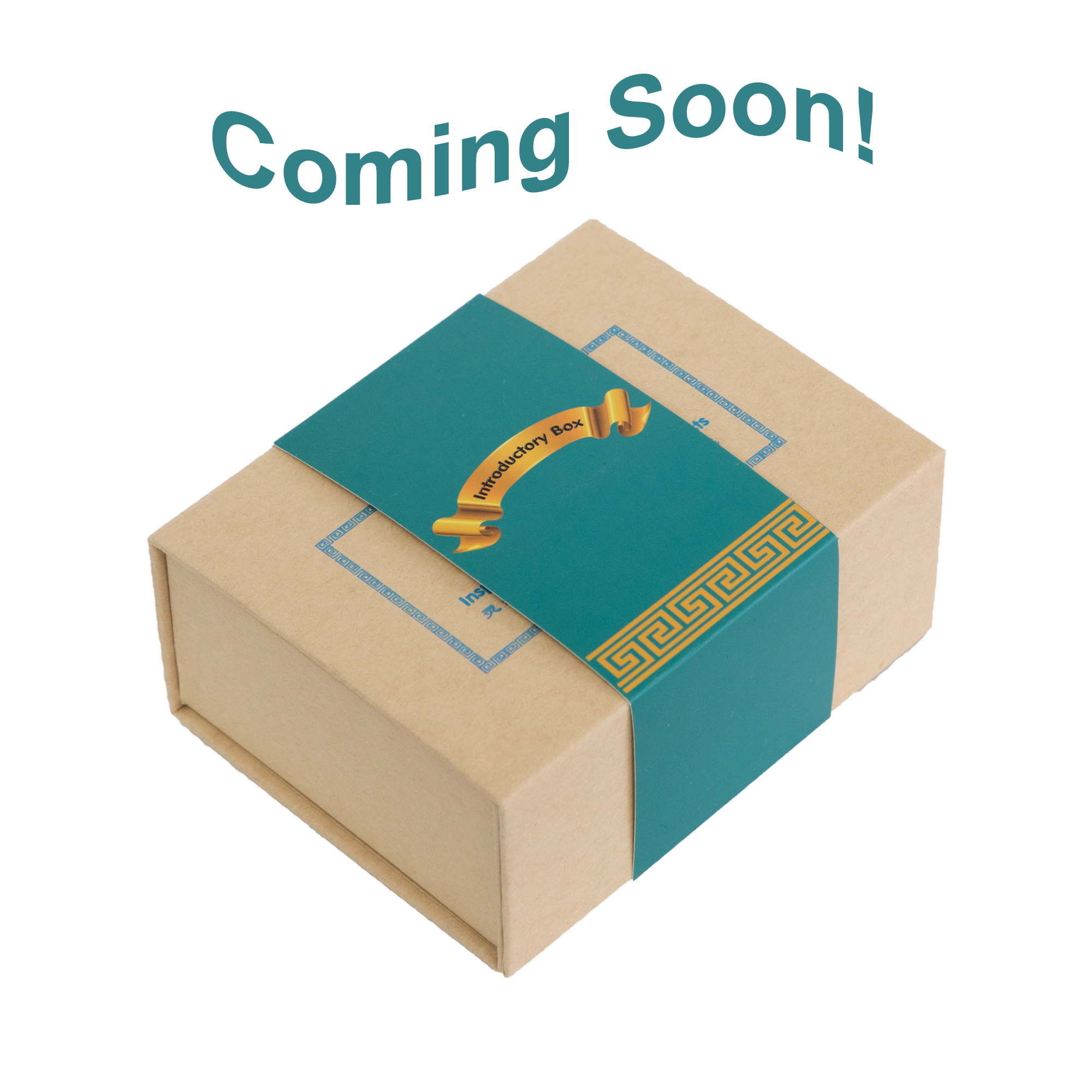 JIT Introductory Box