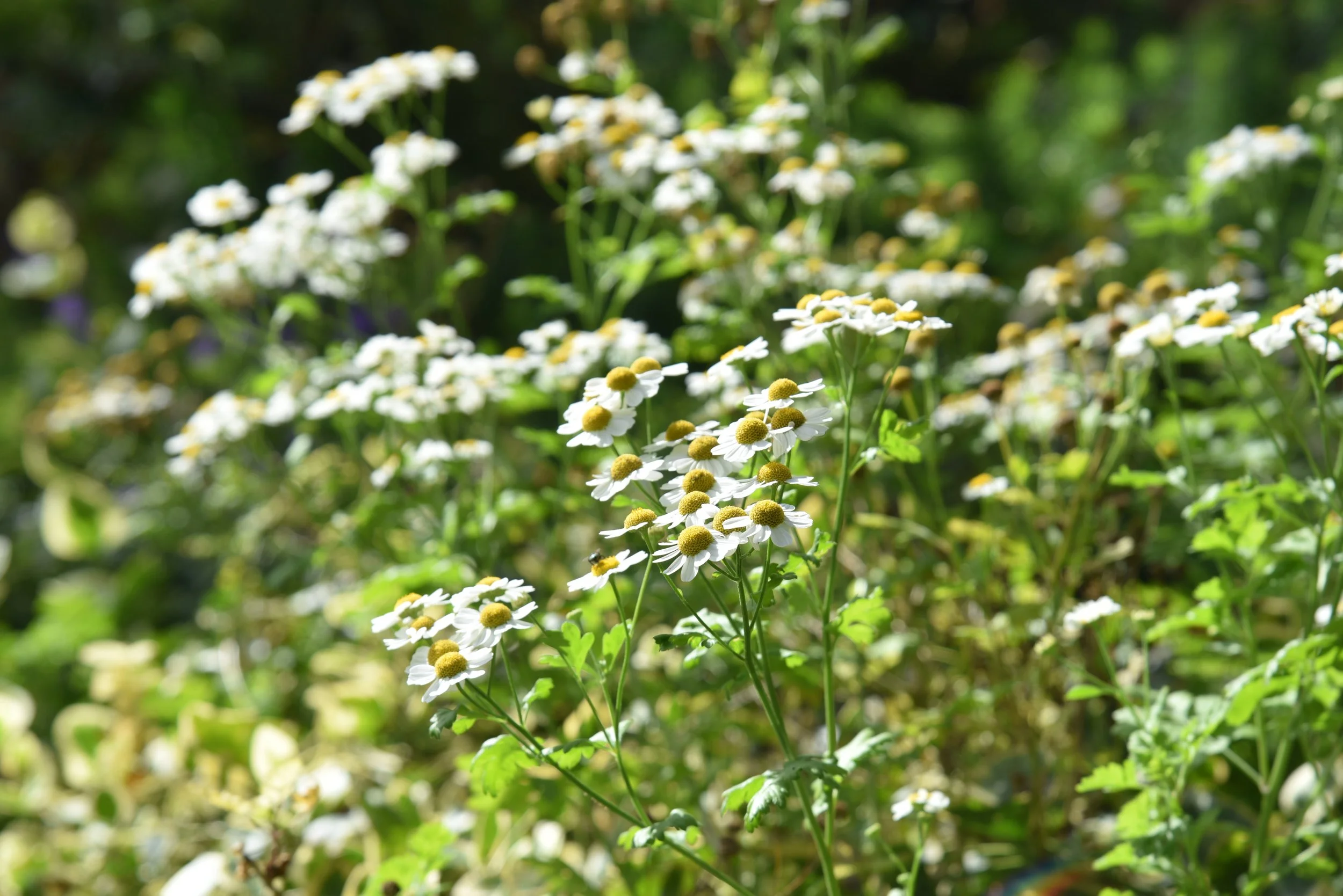 00-2025-10-04 13.06.25.jpg