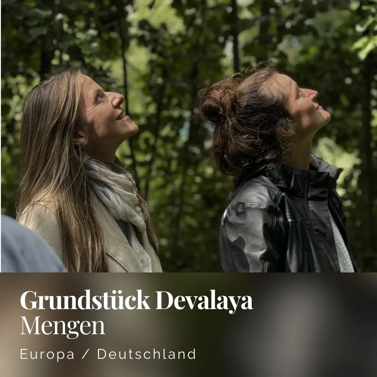 Grundstück Devalaya Mengen - Deutschland - Christian Walker.jpg