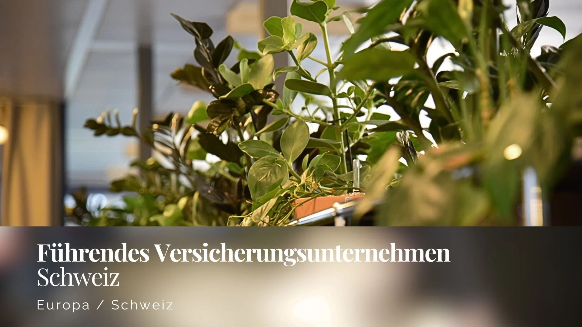 Business Transformation Versicherung Schweiz Christian Walker.jpg