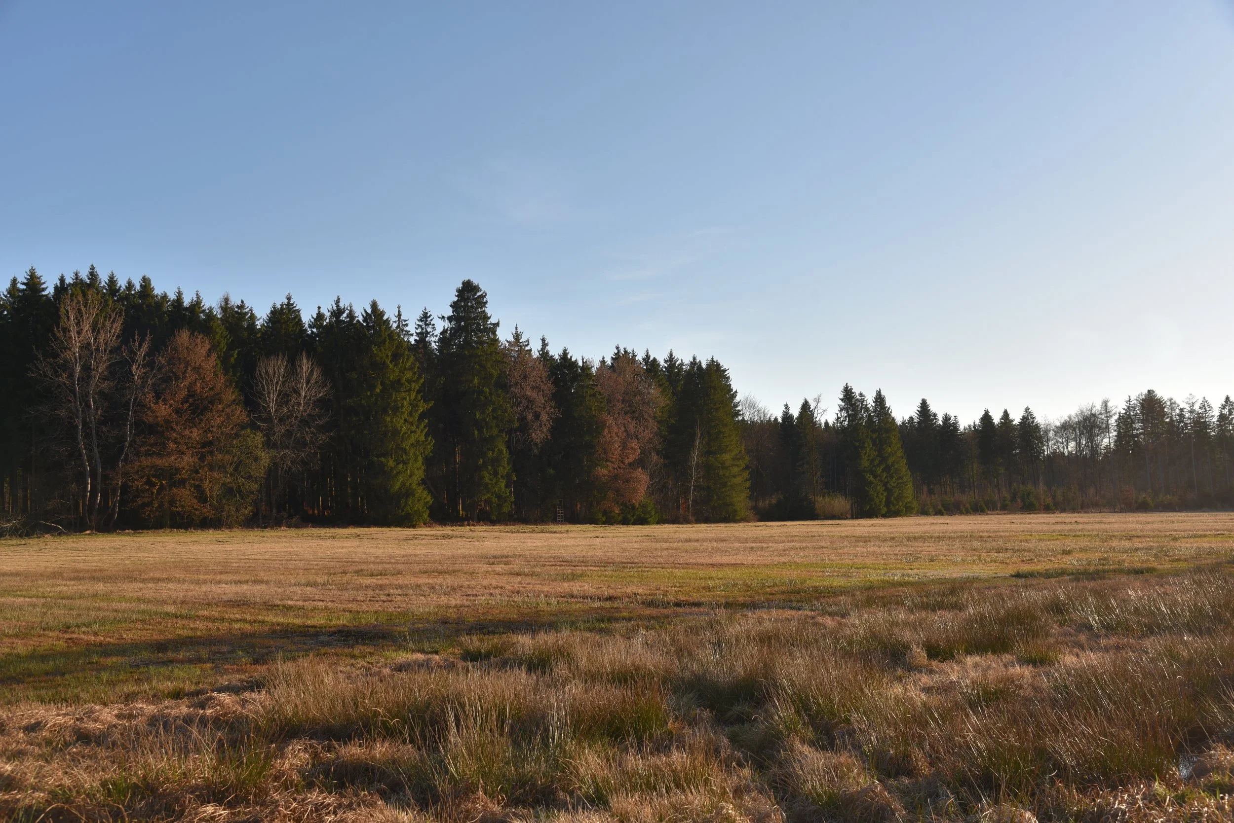 00-2026-03-12 17.25.57.jpg