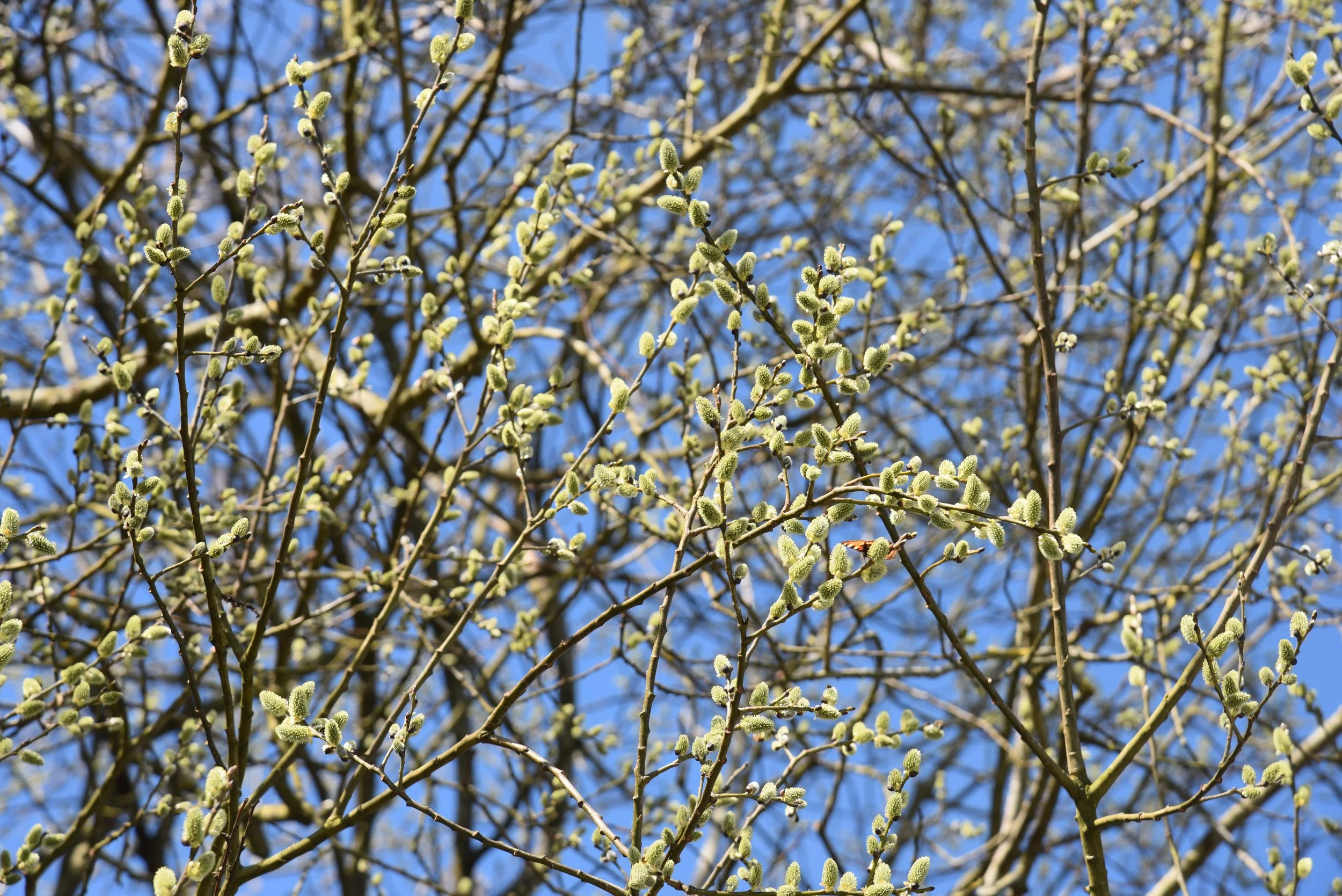 00-2026-03-13 11.47.04.jpg