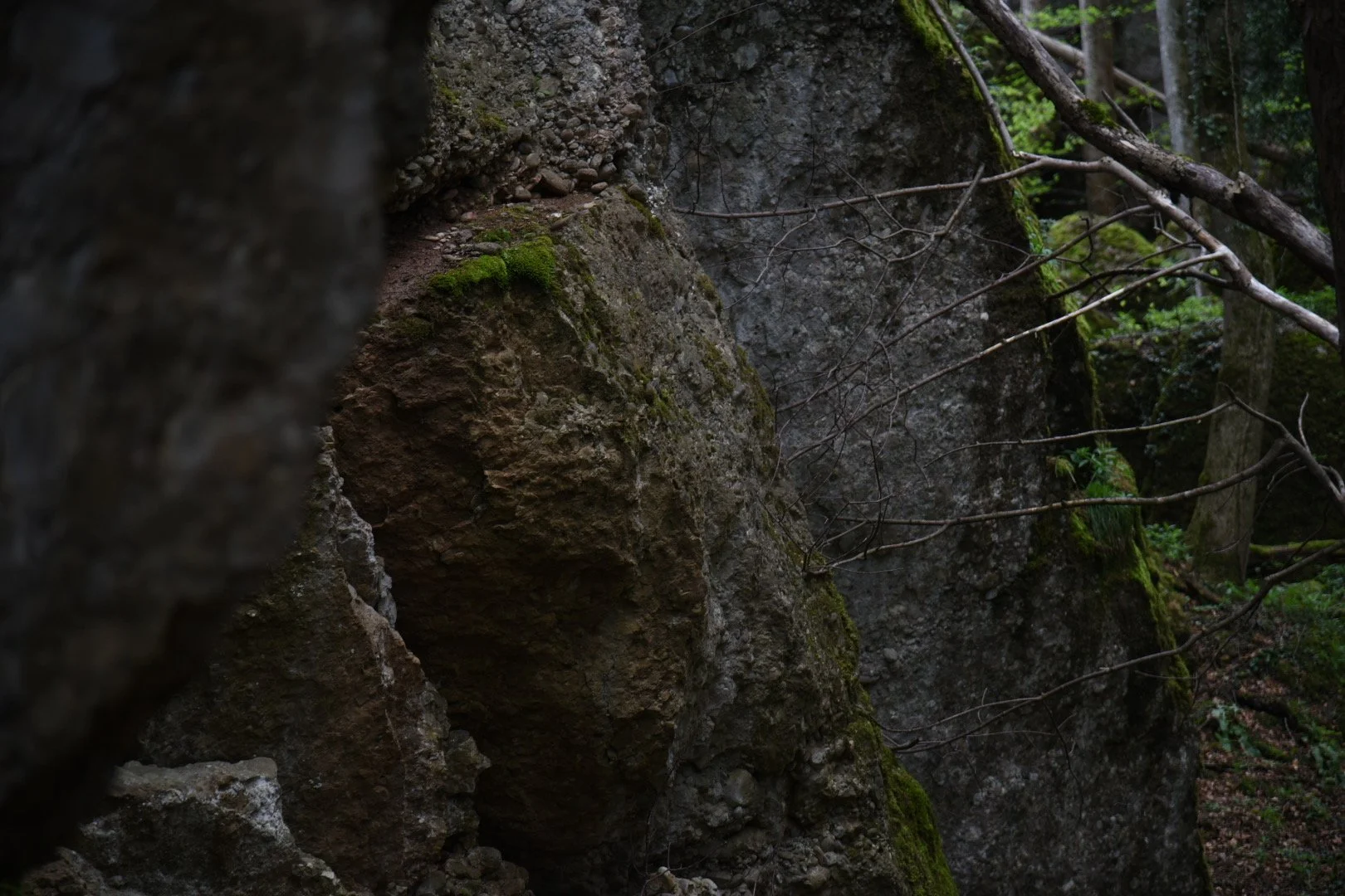 Felsformationen in einem Wald, bedeckt mit Moos und umgeben von Bäumen und Zweigen.