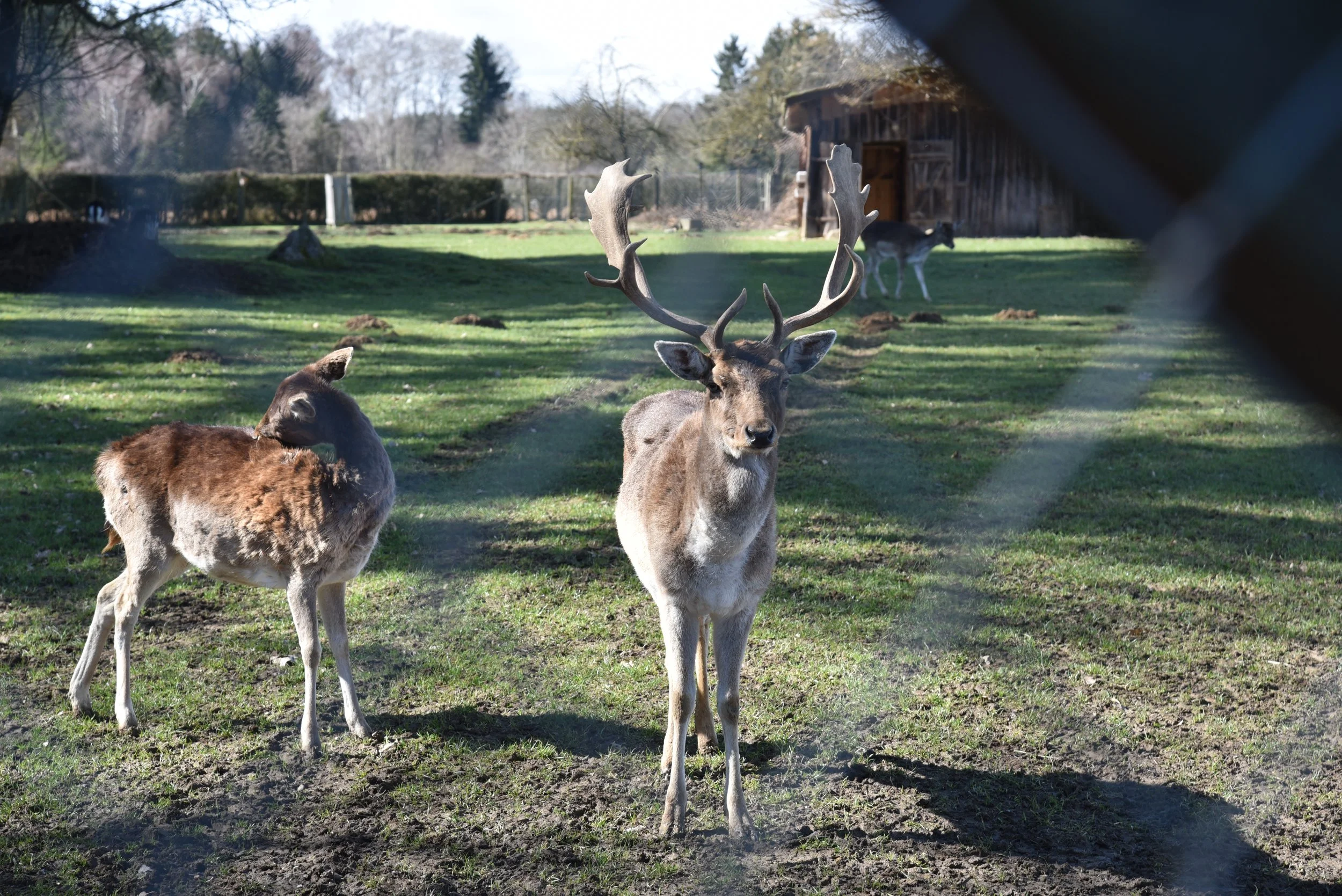 00-2026-03-13 12.30.46.jpg