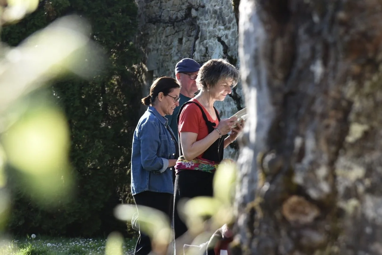 Drei Frauen und ein Mann, die im Freien bei einem Baum stehen, lesen gemeinsam eine Karte oder ein Buch.