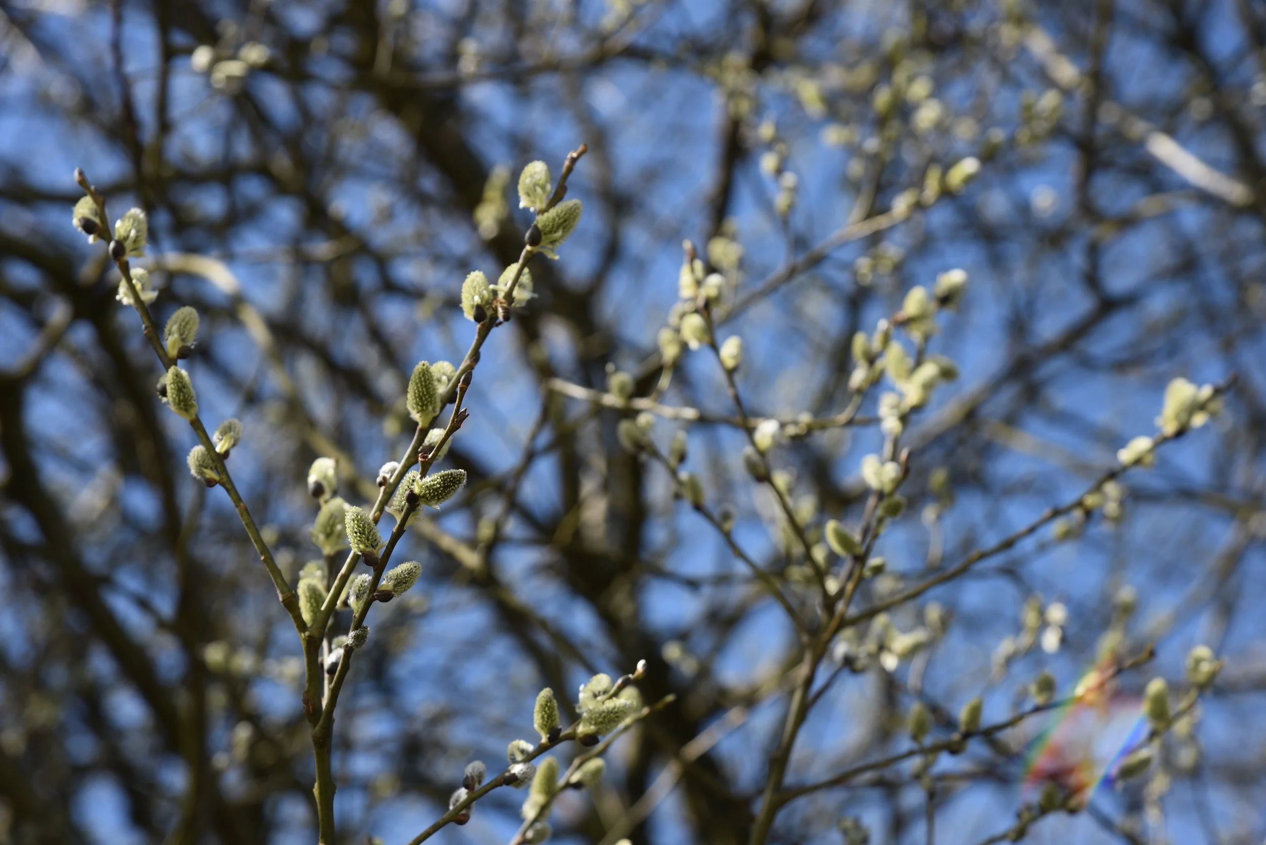 00-2026-03-13 11.50.57.jpg