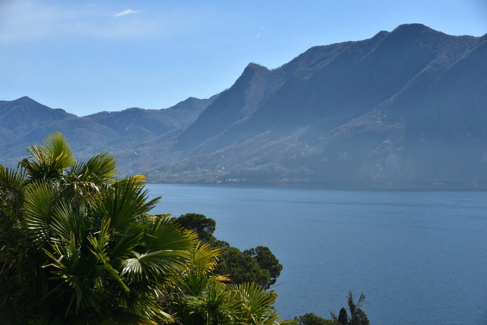 Landschaft mit See, umgeben von Bergen und grünen Pflanzen im Vordergrund