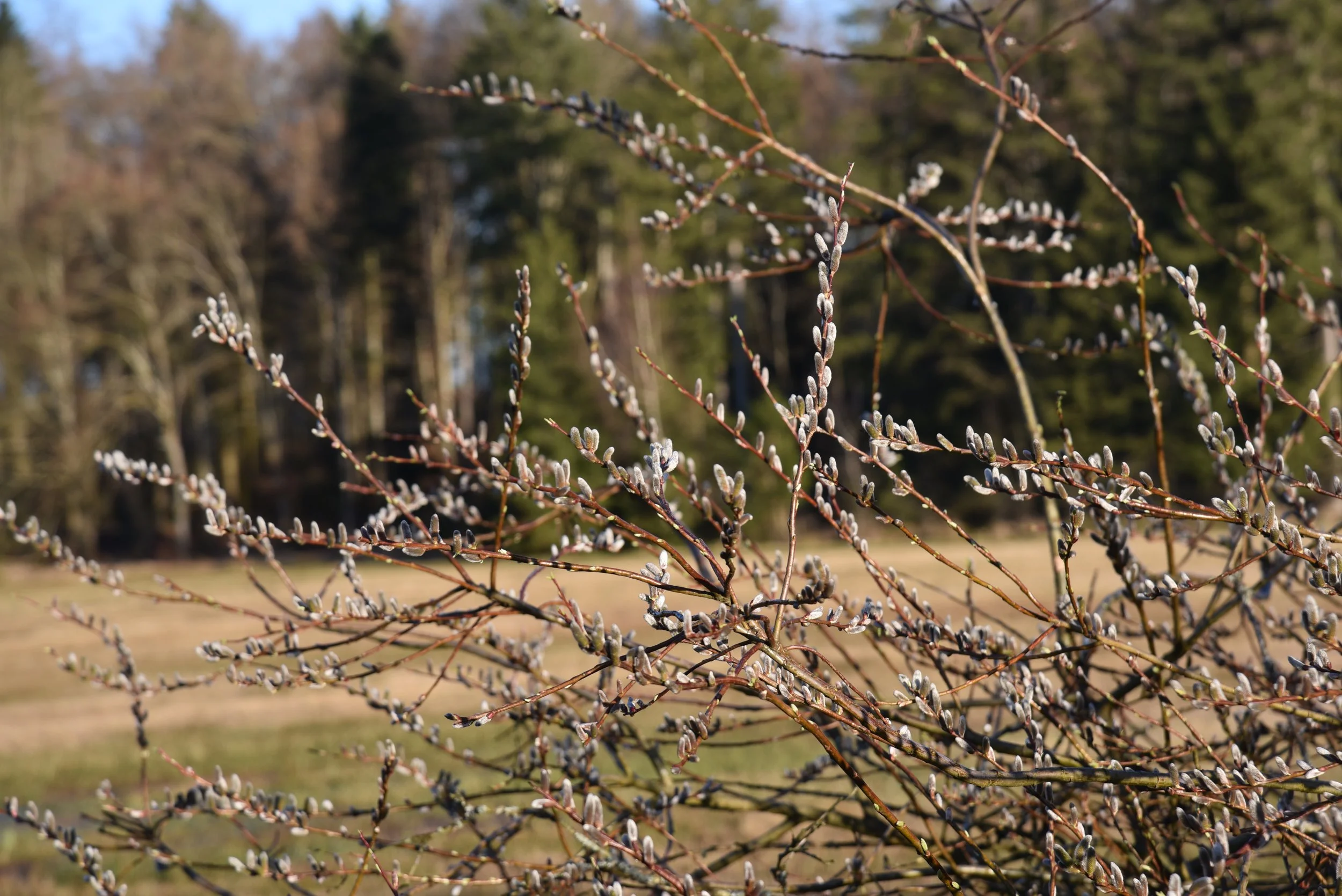 00-2026-03-12 17.23.16.jpg