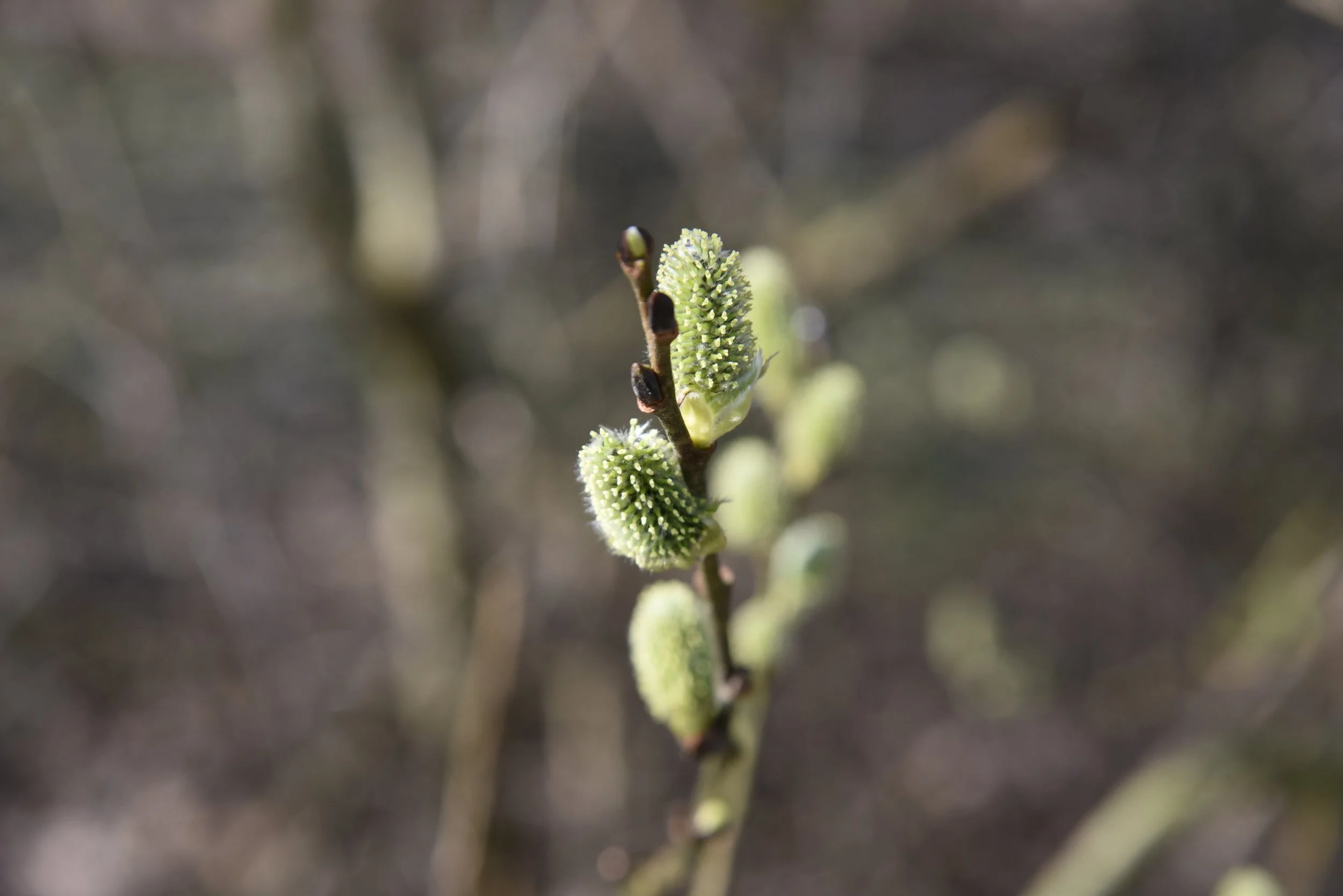 00-2026-03-13 11.46.49.jpg