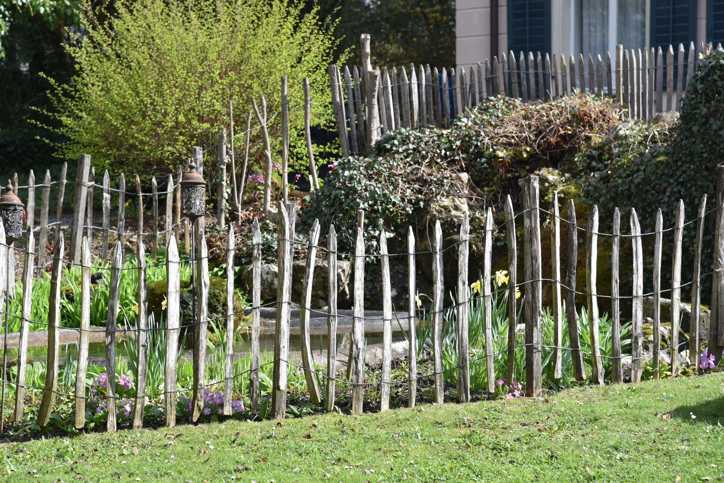 Garten mit einem Holz-Zaun, grünem Gras, bunten Blumen und einem Baum im Hintergrund.