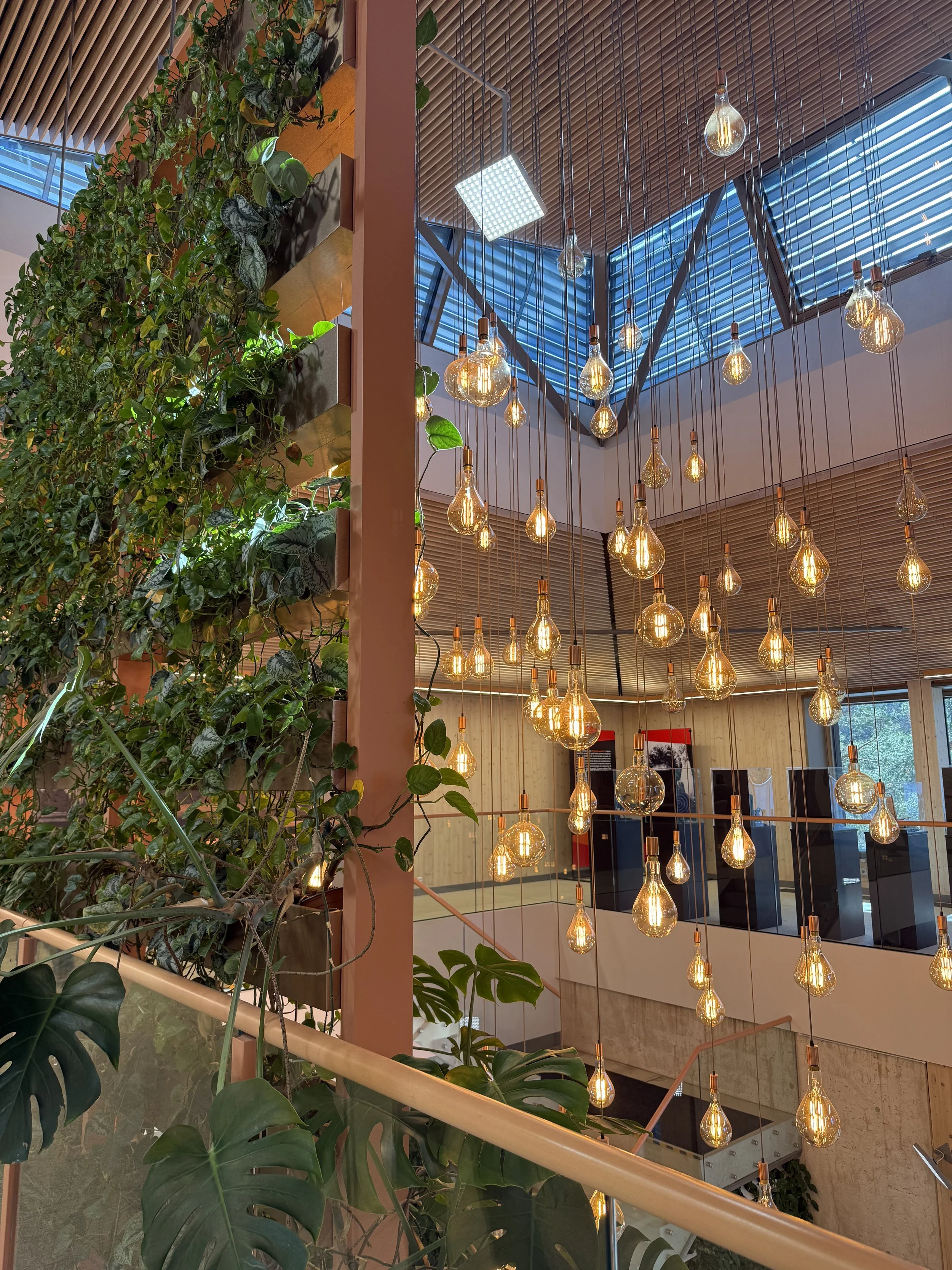 Pirmais solis koka būvniecības pasaulē: atvērta uzņemšana otrajam uzsaukumam bezmaksas tiešsaistes apmācību kursam  “Wood for Youth” 