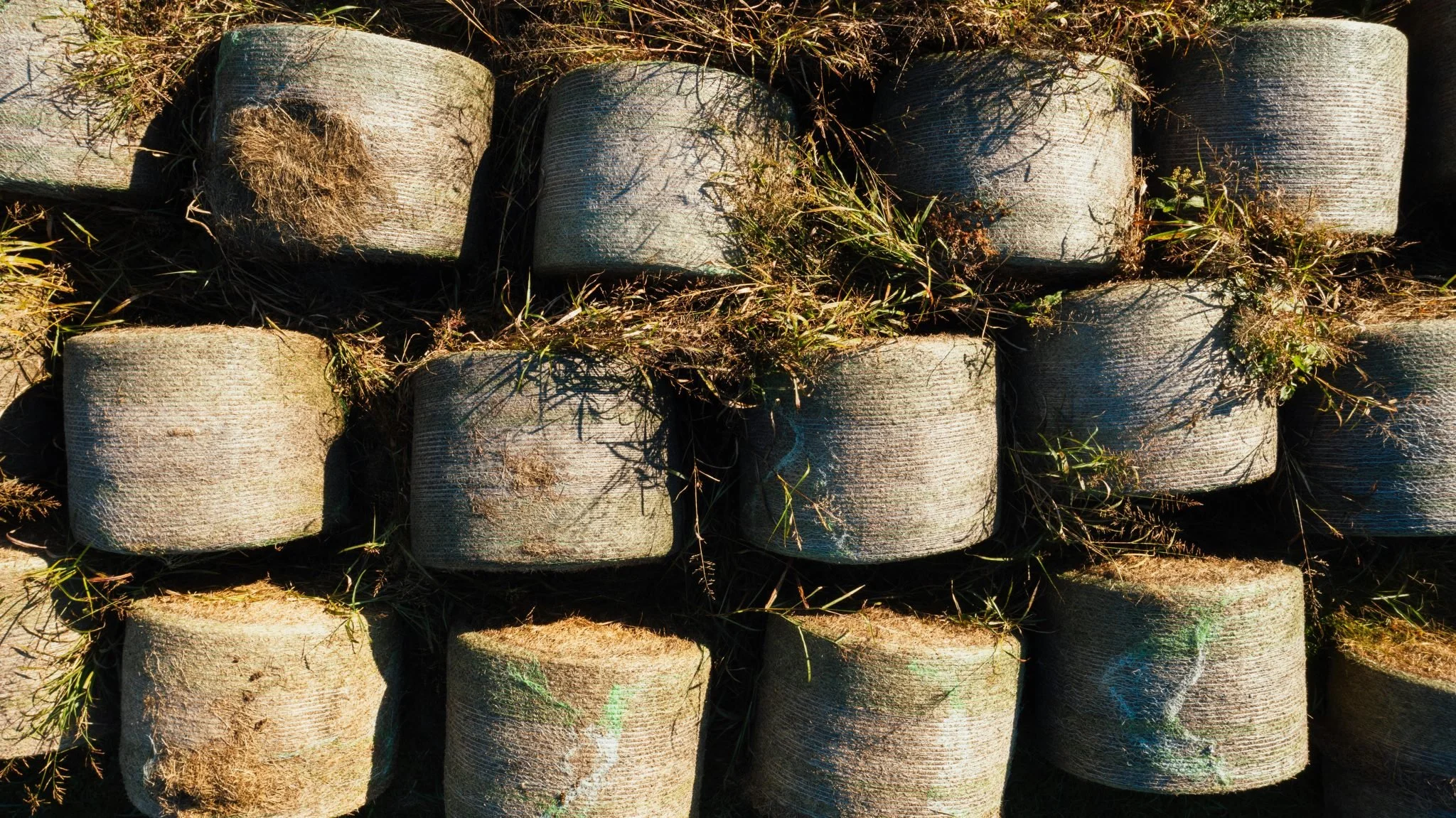 Agro-būvniecība Latvijā – dabisks risinājums ilgtspējīgai būvniecībai
