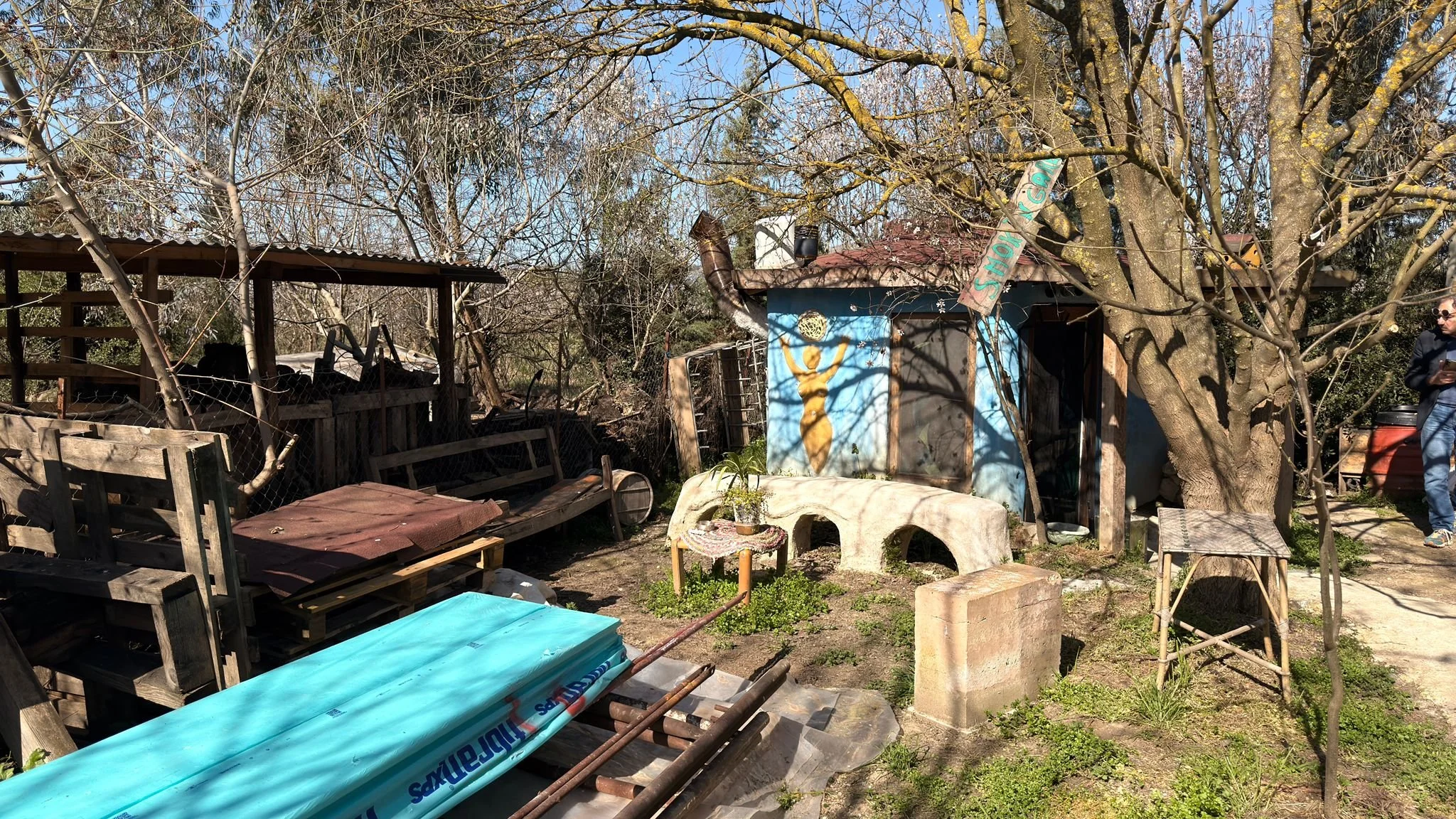 WhatsApp Image 2026-03-12 at 12.00.34.jpeg