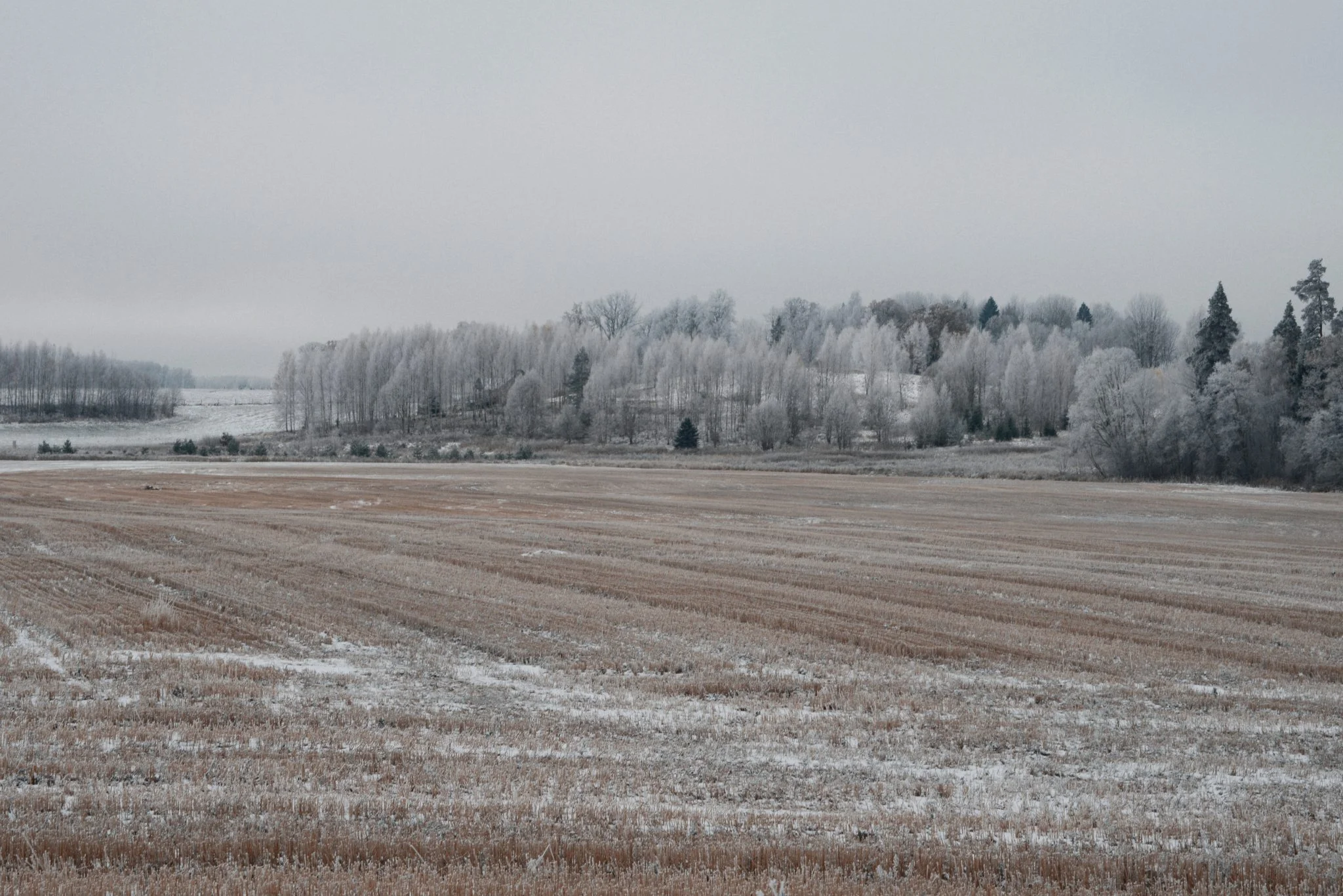 Agro-būvniecība Latvijā: no nišas risinājuma līdz eksporta potenciālam