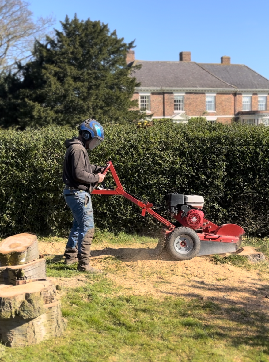 stump grinder.png