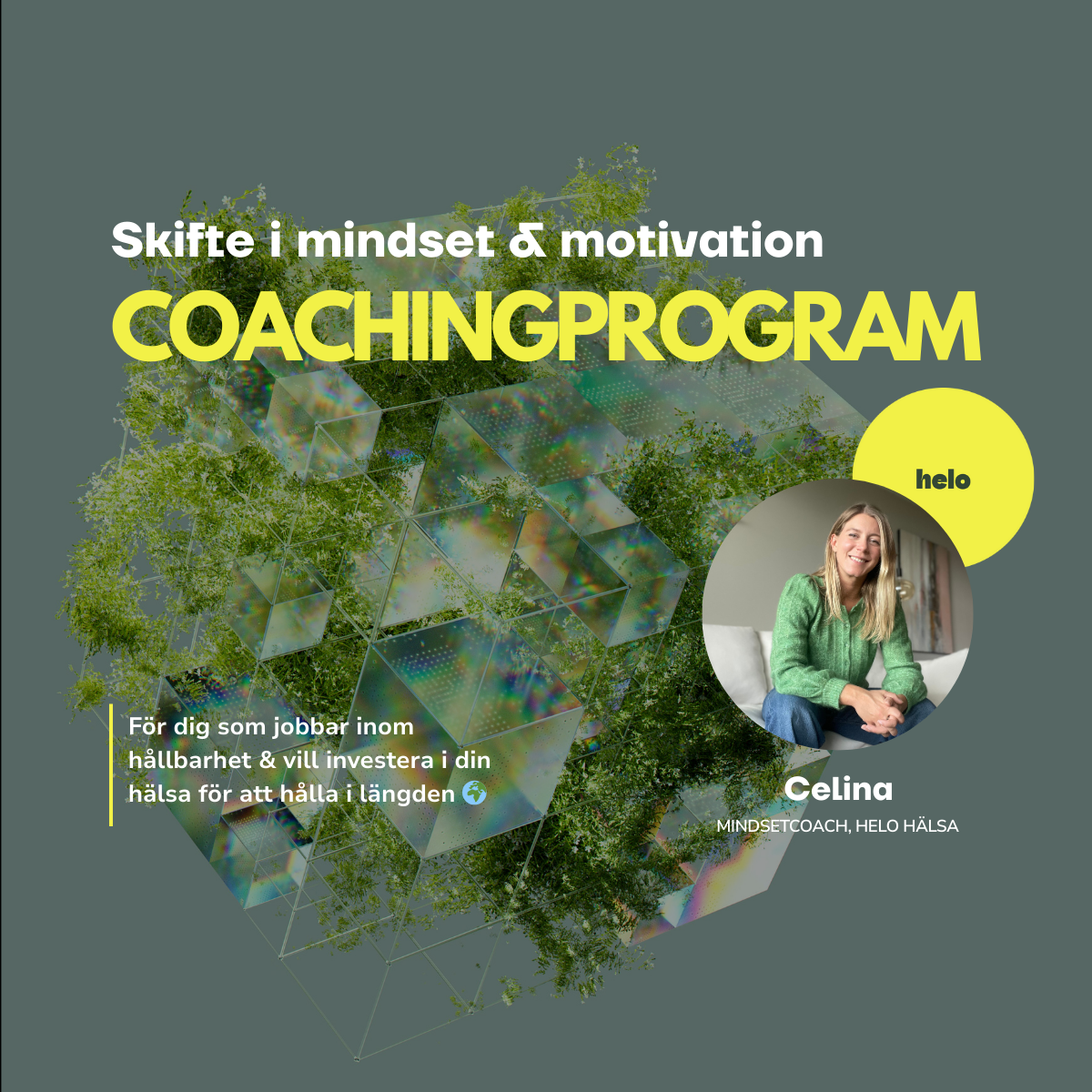 Coachingprogram för experter inom hållbarhet