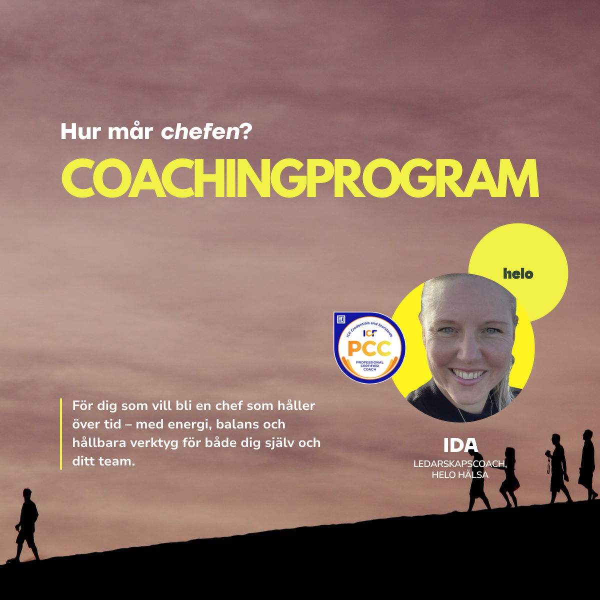 Coachingprogram - Hur mår chefen?