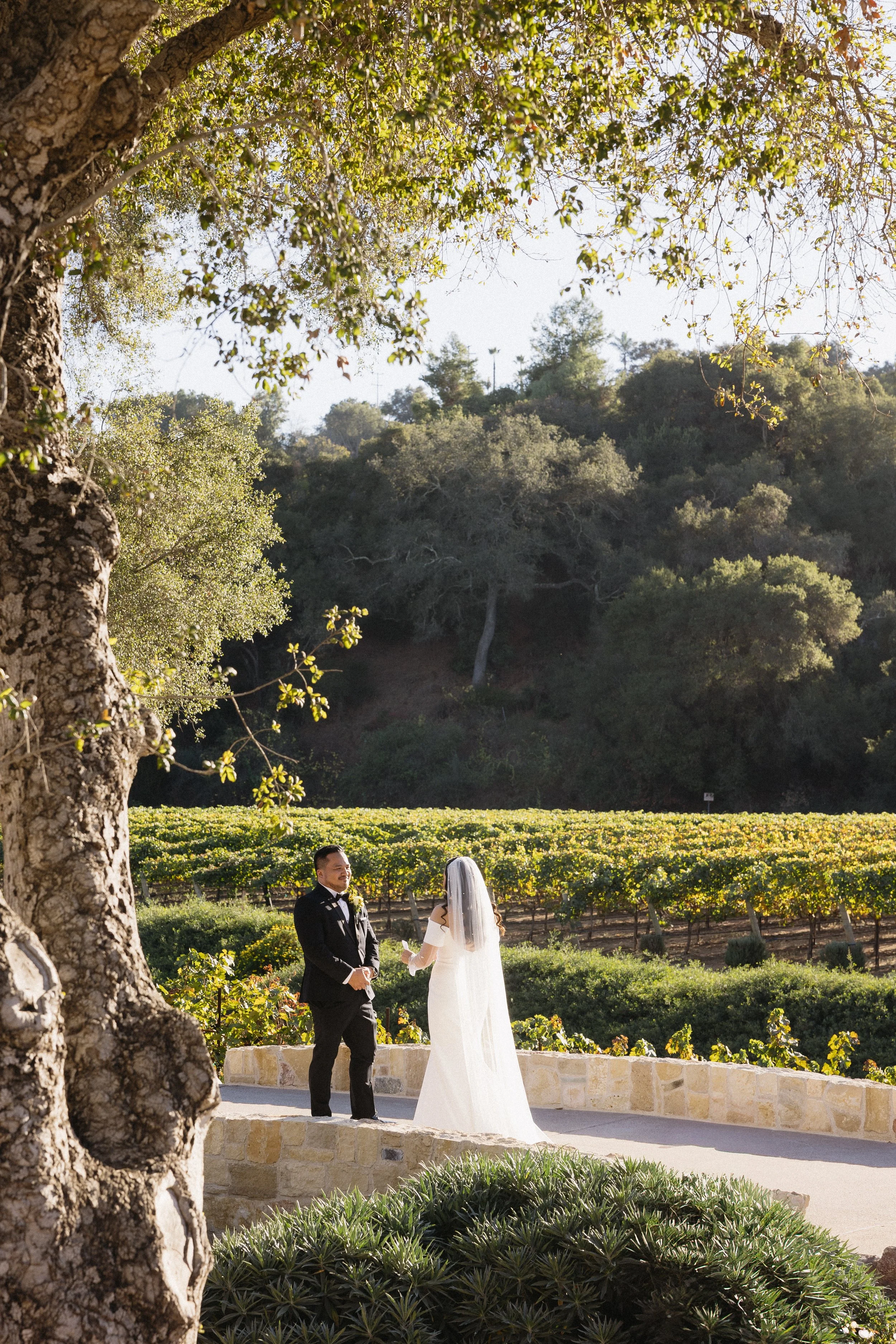 Robert & Melissa Wedding Monserate Winery Tuscan Estate 11-14-2024 471461.jpg