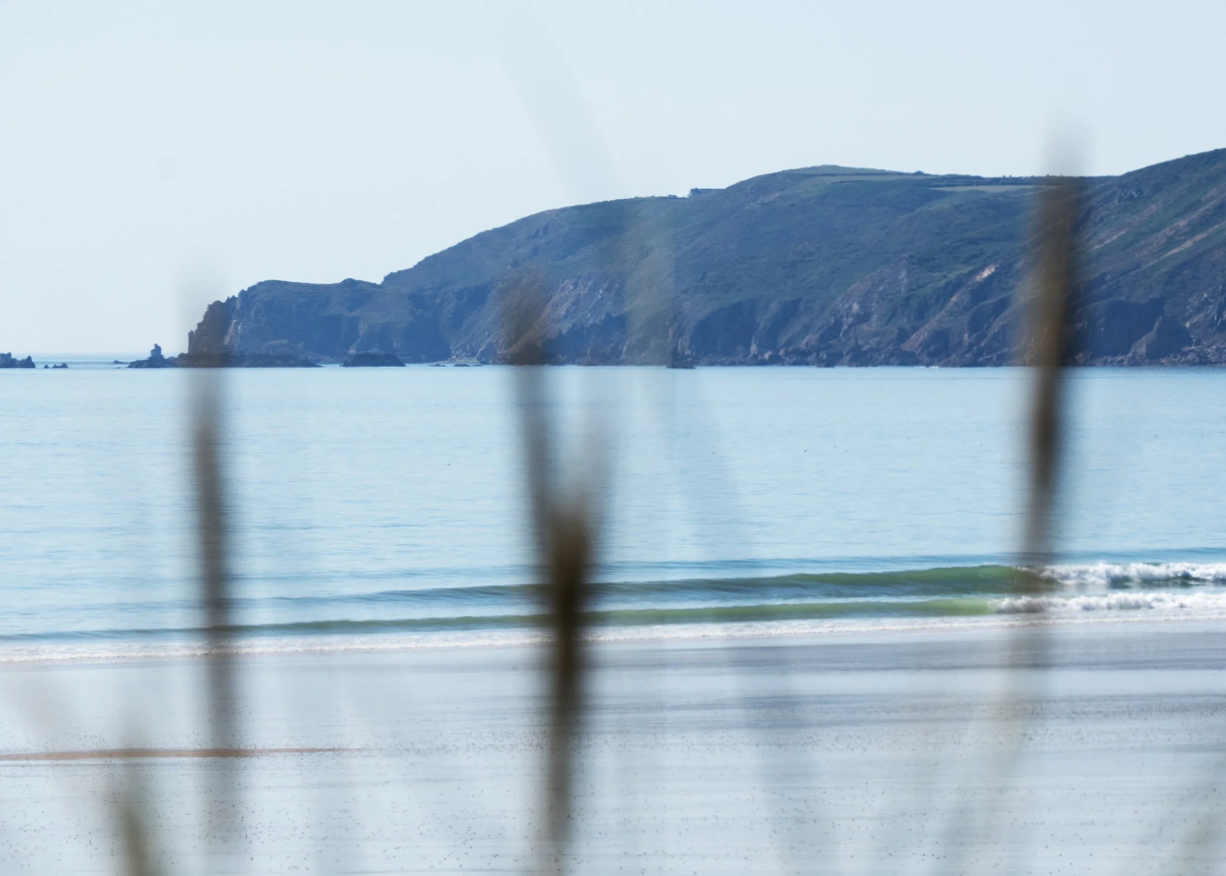 Vue d'une mer d'huile et de jolies vagues se cassant sur le sable avec en arrière plan le cap de la Hague et au premier plan de la végétation dunaire.