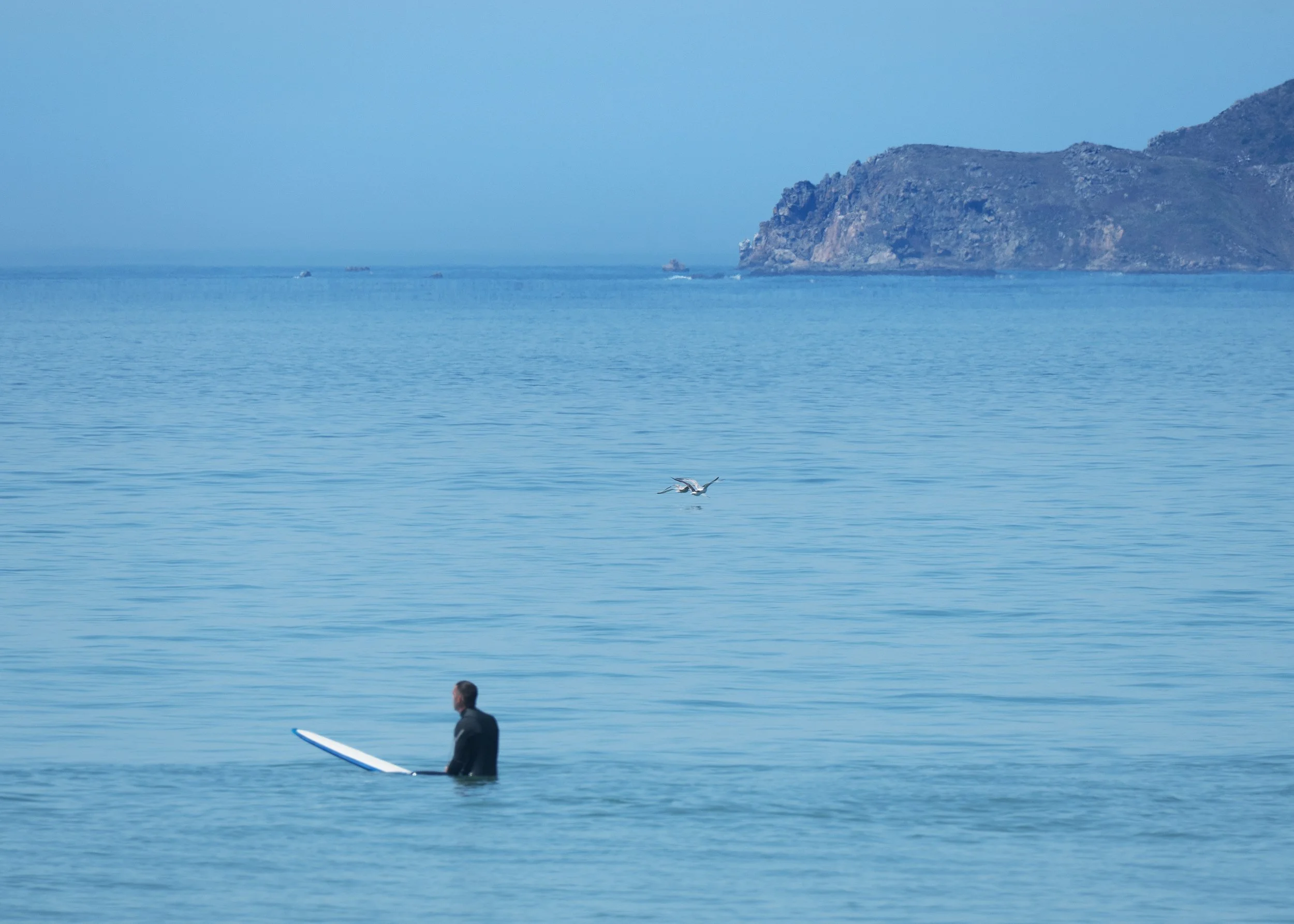 Une personne attendant une vague sur une mer calme avec le cap de la Hague en arrière-plan, et un oiseau vole au-dessus de l'eau.