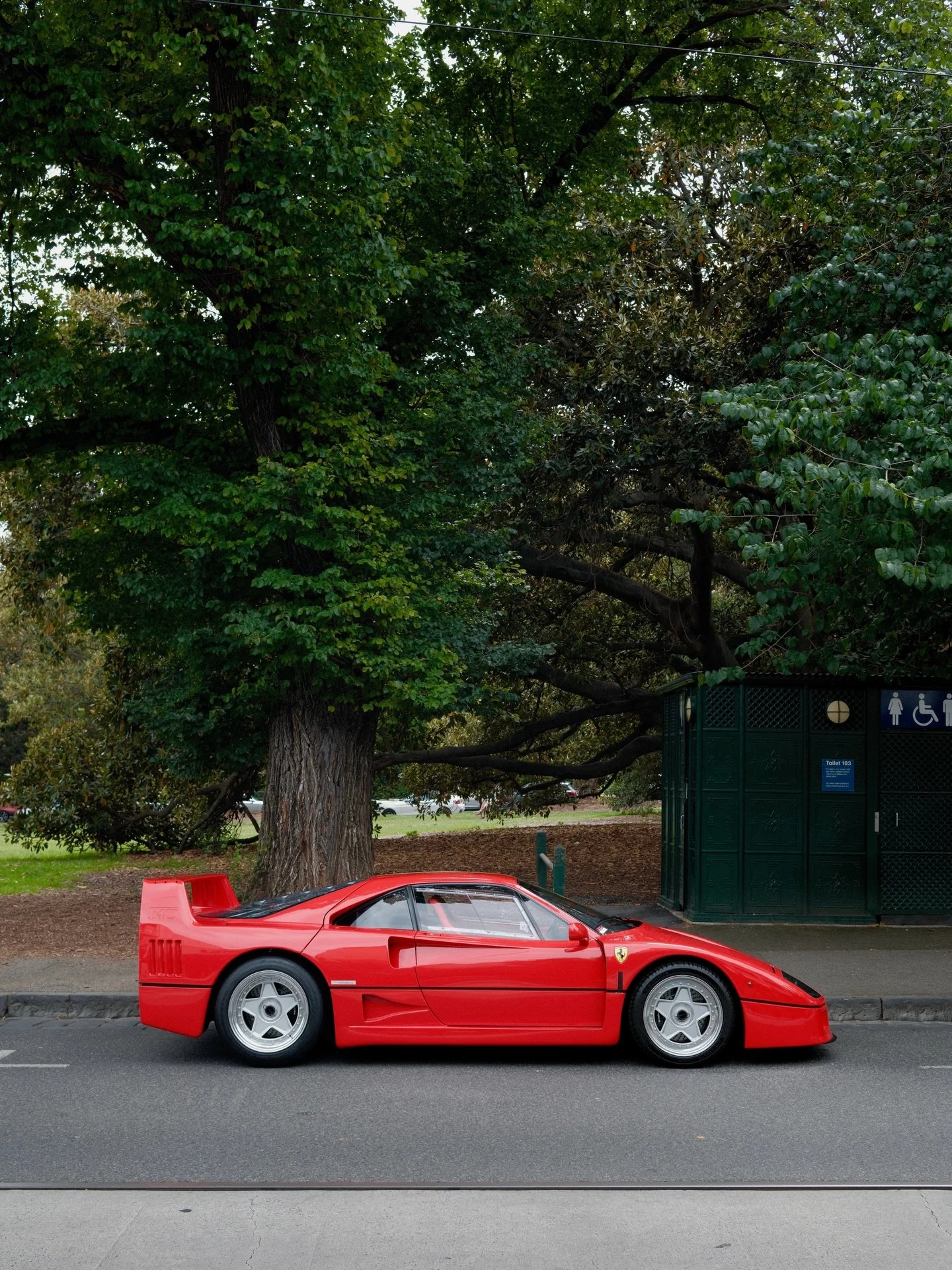 Just days after it made our Top 10 Spots of 2025 list, this Ferrari F40 was spotted in the almost identical spot on Domain Road. 

Thanks to everyone who sent it in, including those featured in this post (credited respectively): @mattminas, @harrykou