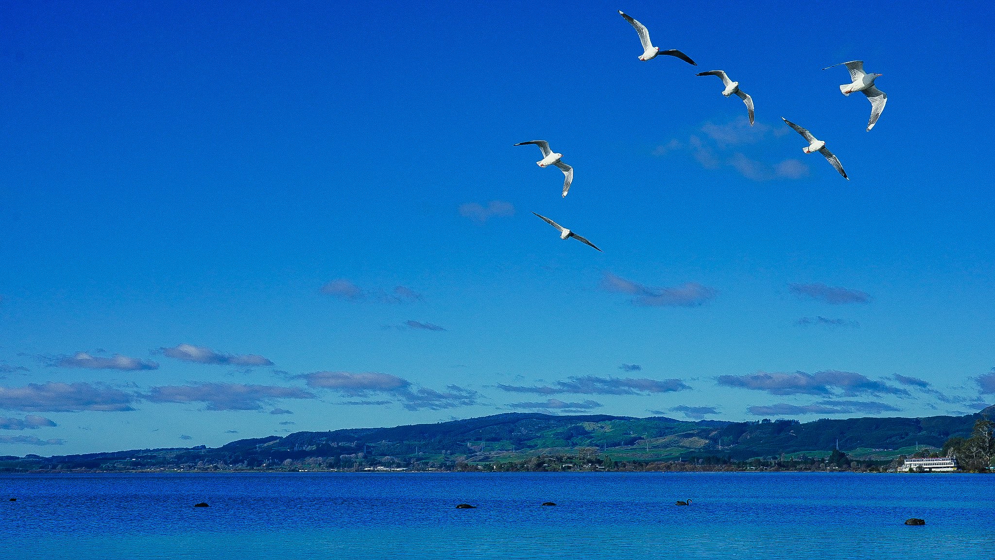 Rotorua, New Zealand (2024)