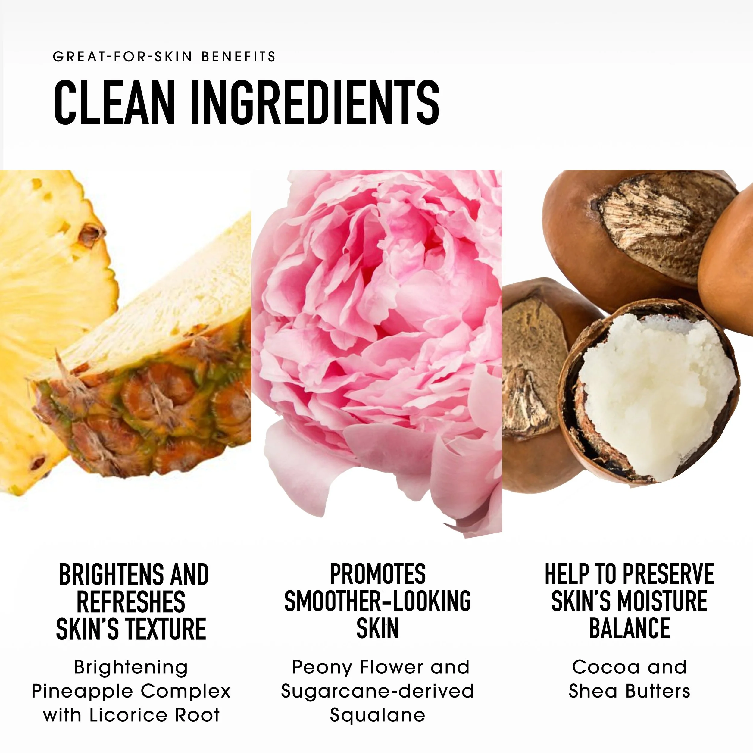 Ingredient_Infographic.jpg
