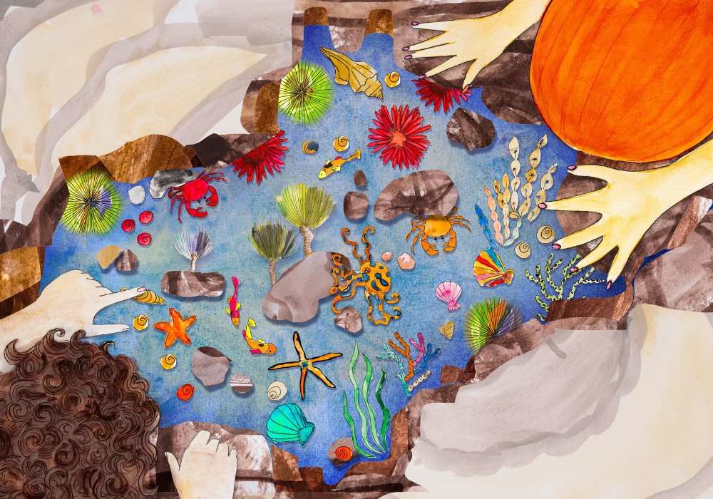 Untitled design (21).png
