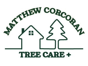 Matthew Corcoran Tree Care +