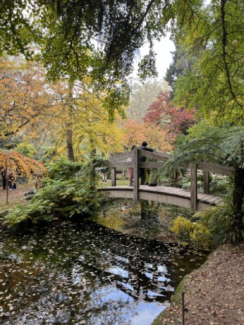 Best Gardens to Visit While in Melbourne