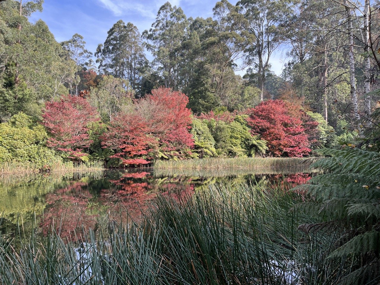 Here’s How You Can Update and Refresh Your Garden.