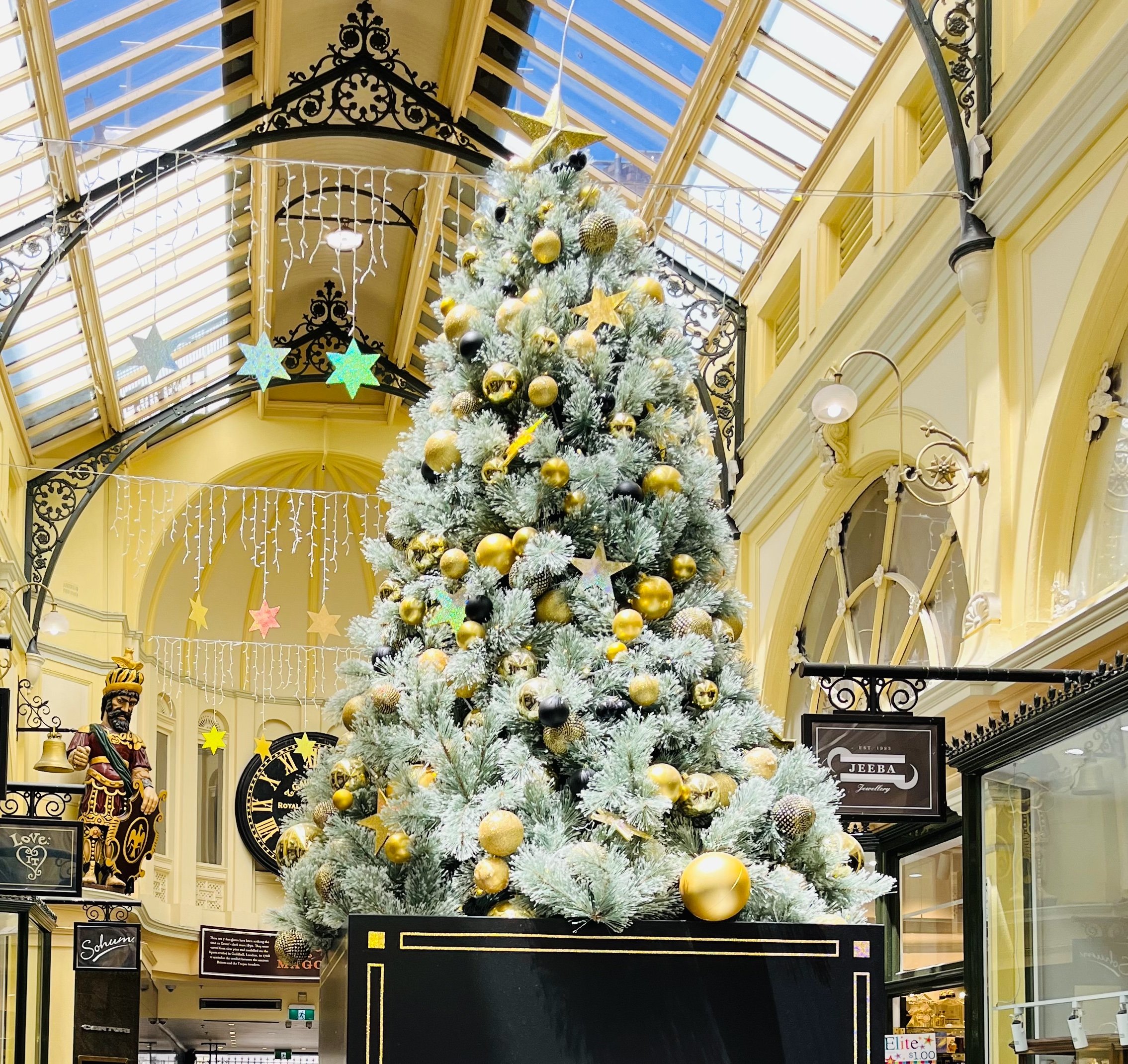 Christmas Trees History  - Celebrate Nature and Connect People