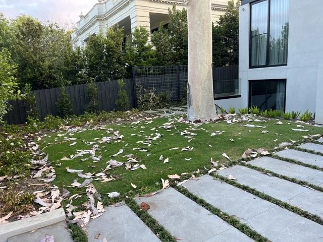 🌿 Important Tips for Autumn Gardening in Melbourne Before the Cold Weather Arrives