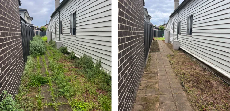 weedingbeforeafter.png