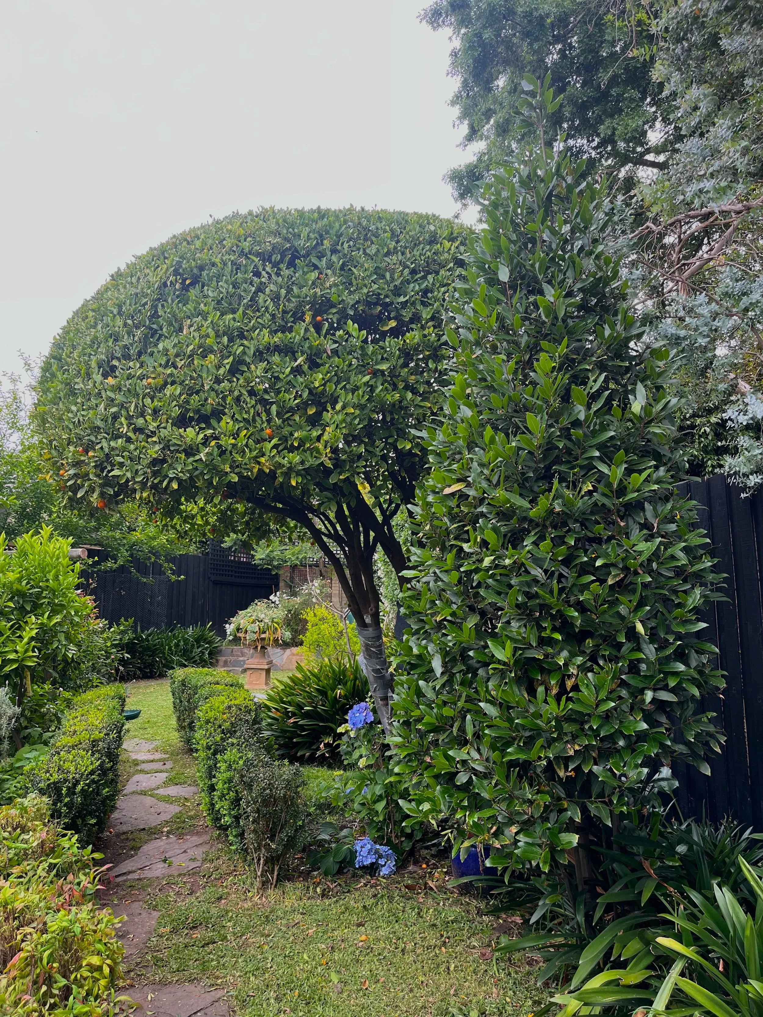 Quick Touch – Listing Ready Boost (Fast turnaround for urgent listing needs)