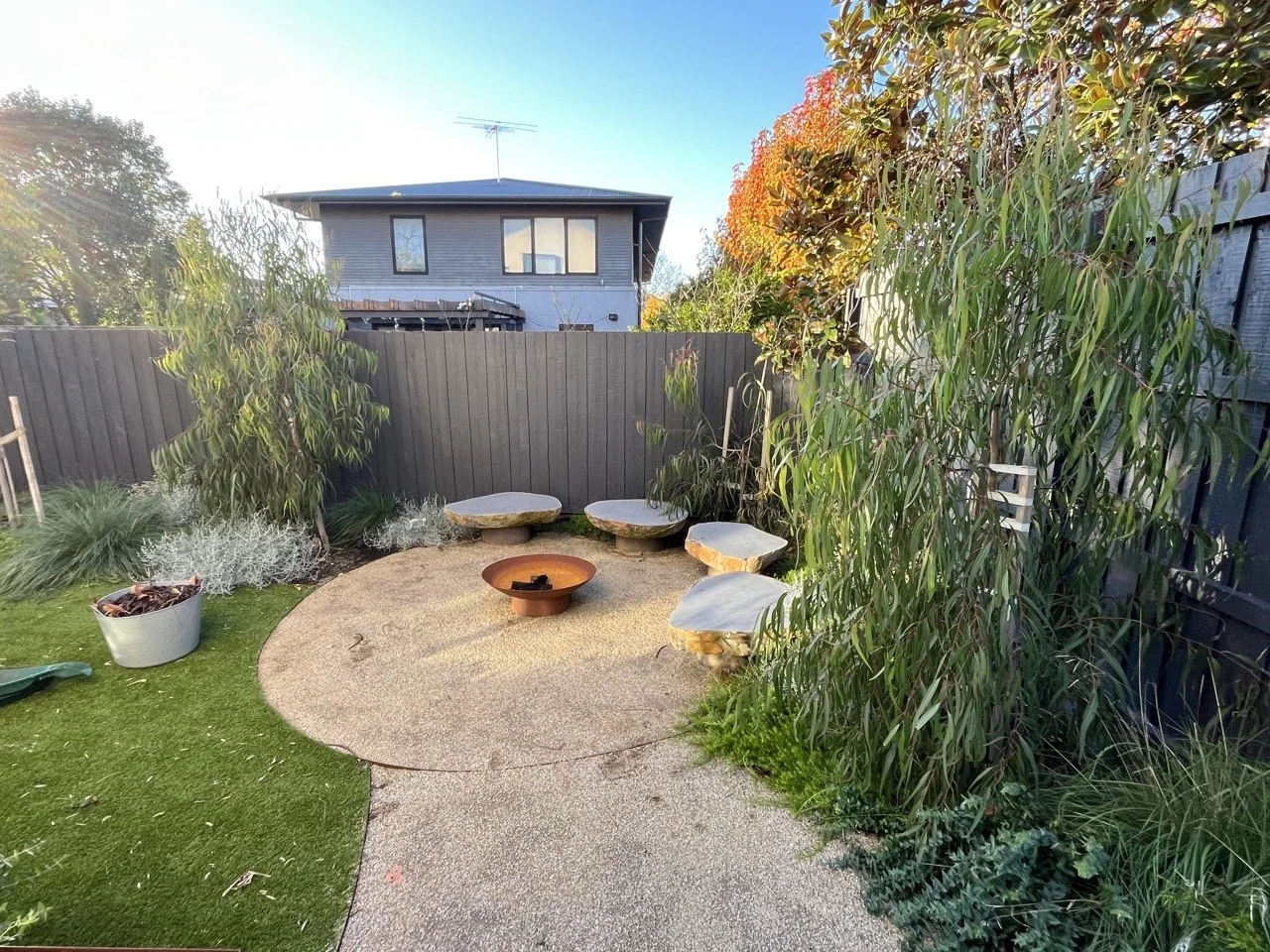 Native Plant Fence Screening (Low Maintenance Gardening)