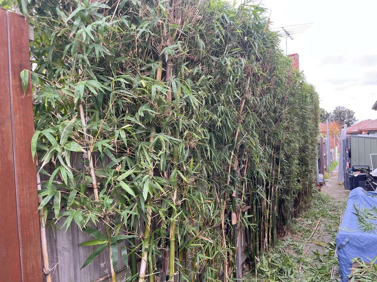 Bamboo Privacy Solutions
