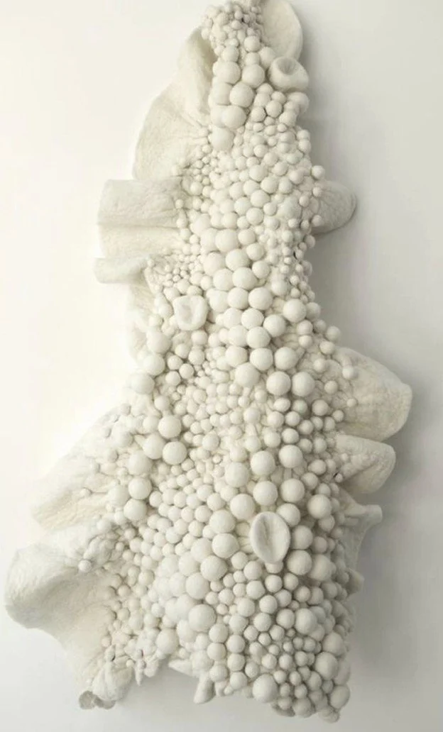 Capture d’écran 2026-01-16 170554.jpg