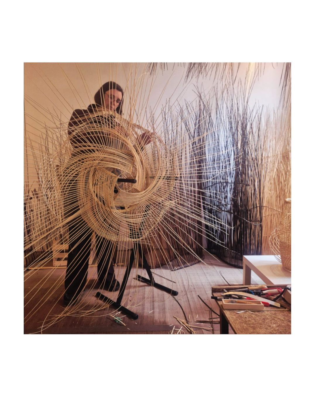 Tressages Pas Sages : l’art du lien, l’osier réinventé 