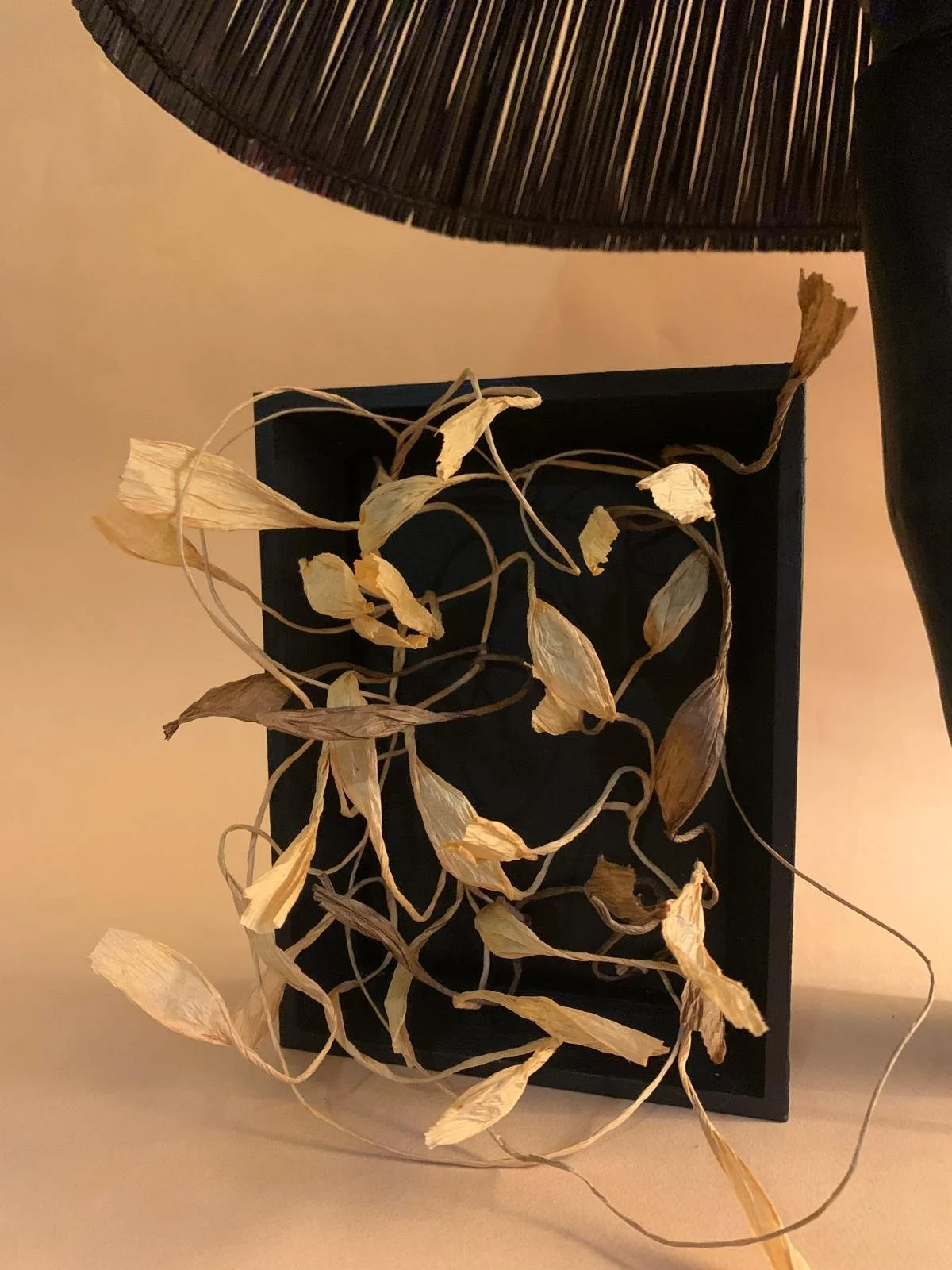 Délicatesse végétale