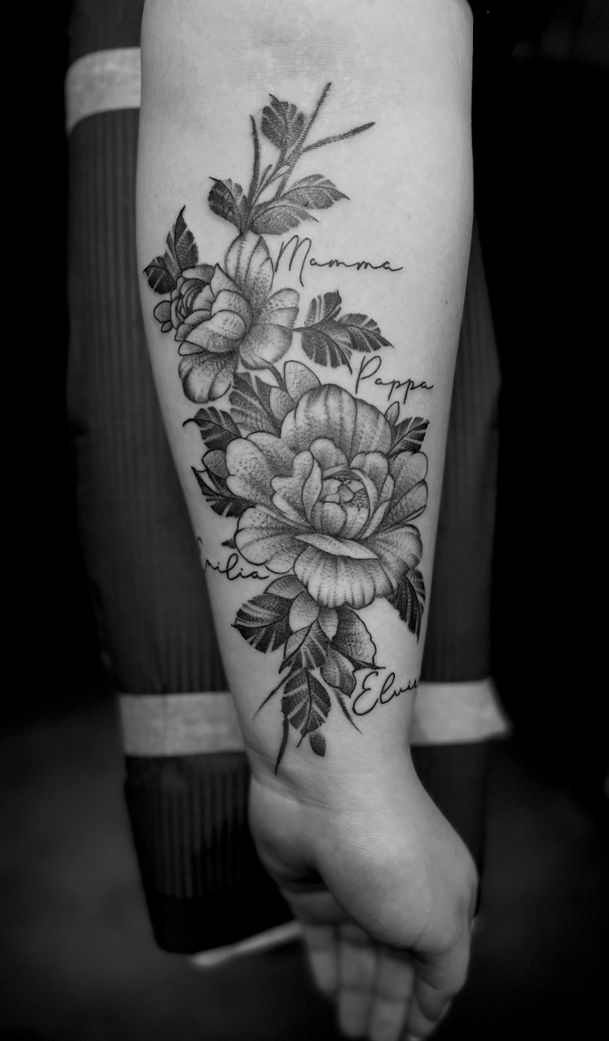 IMG_8493.jpeg
