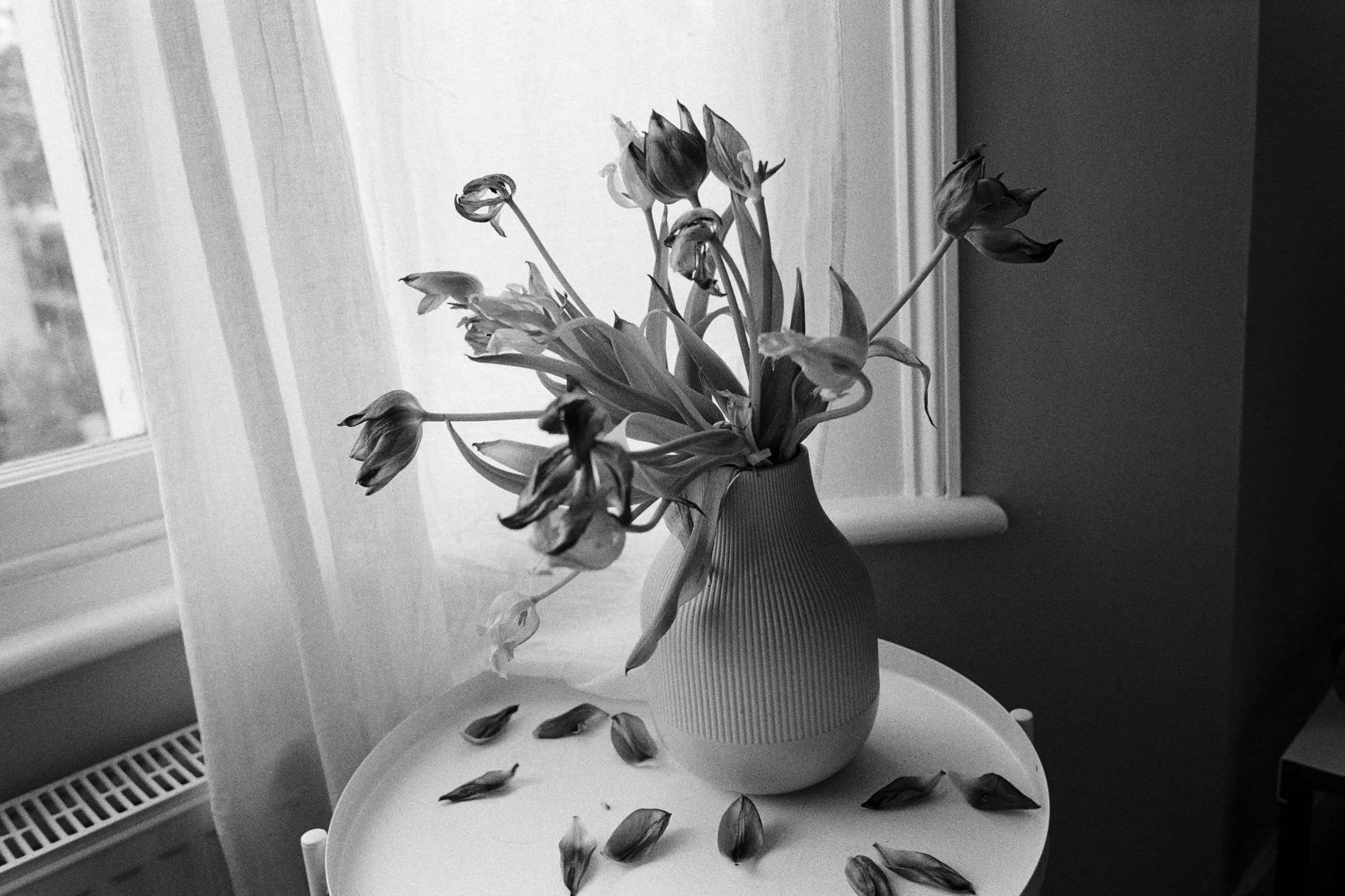 selected works - 10