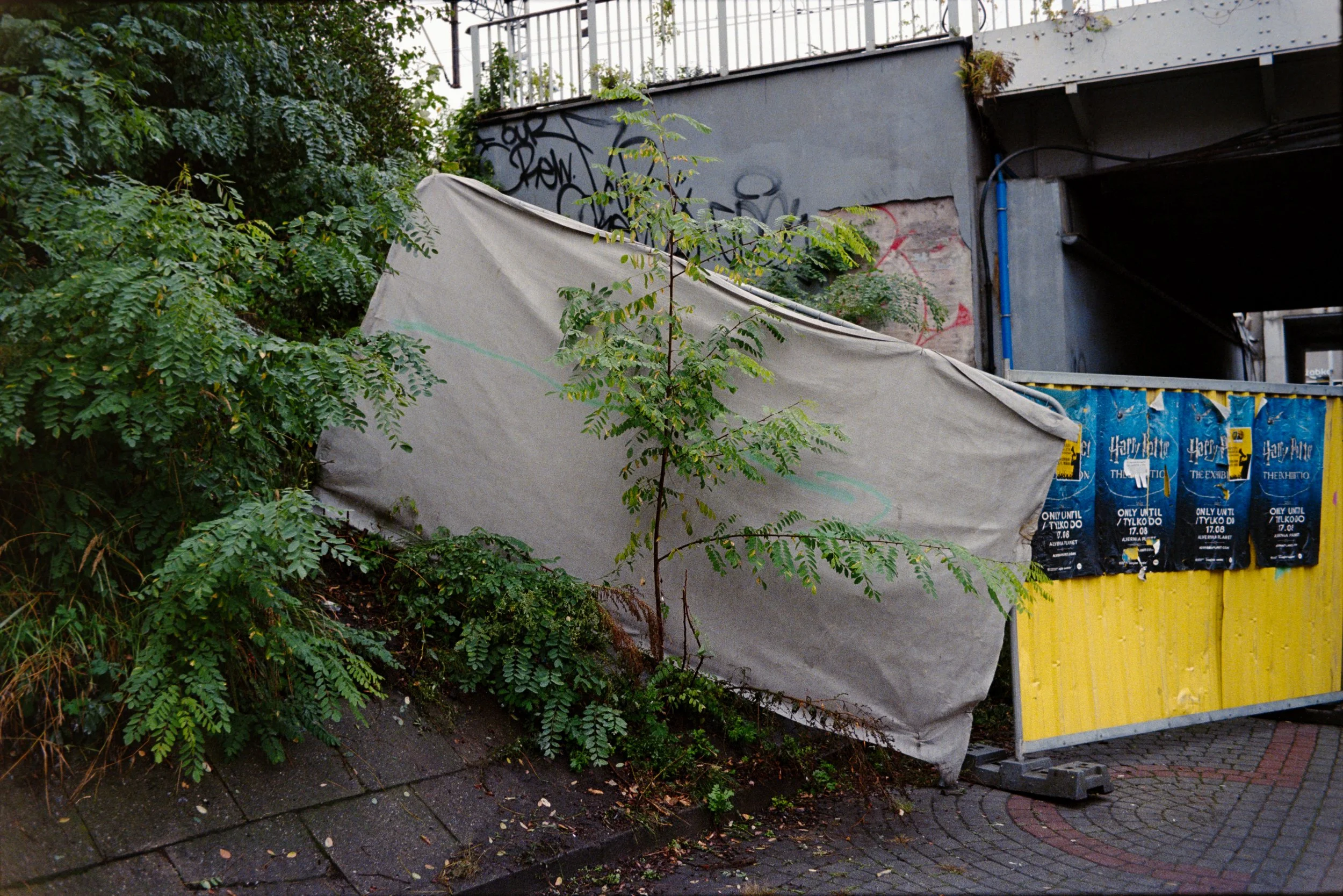2025_10_22_POLAND_006_9440.JPG