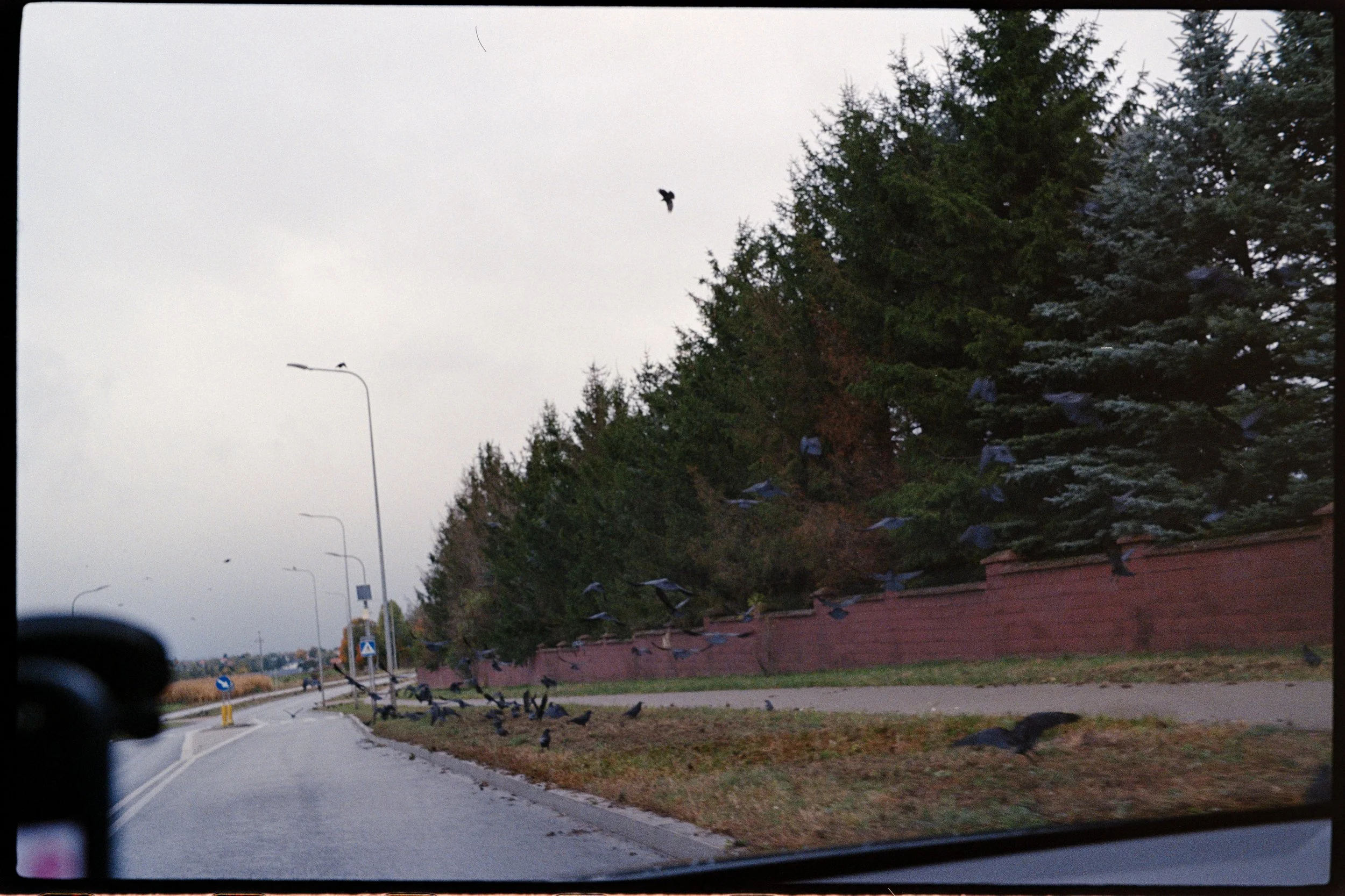 2025_10_22_POLAND_032_287.JPG