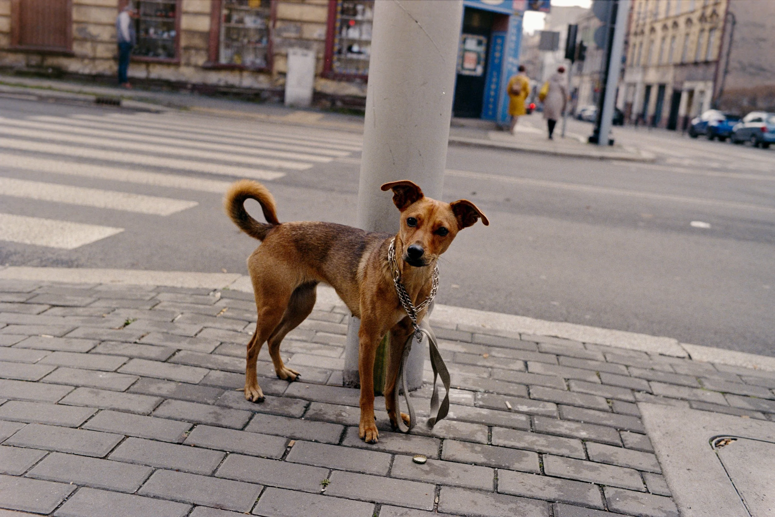 2025_10_22_POLAND_011_9665.JPG